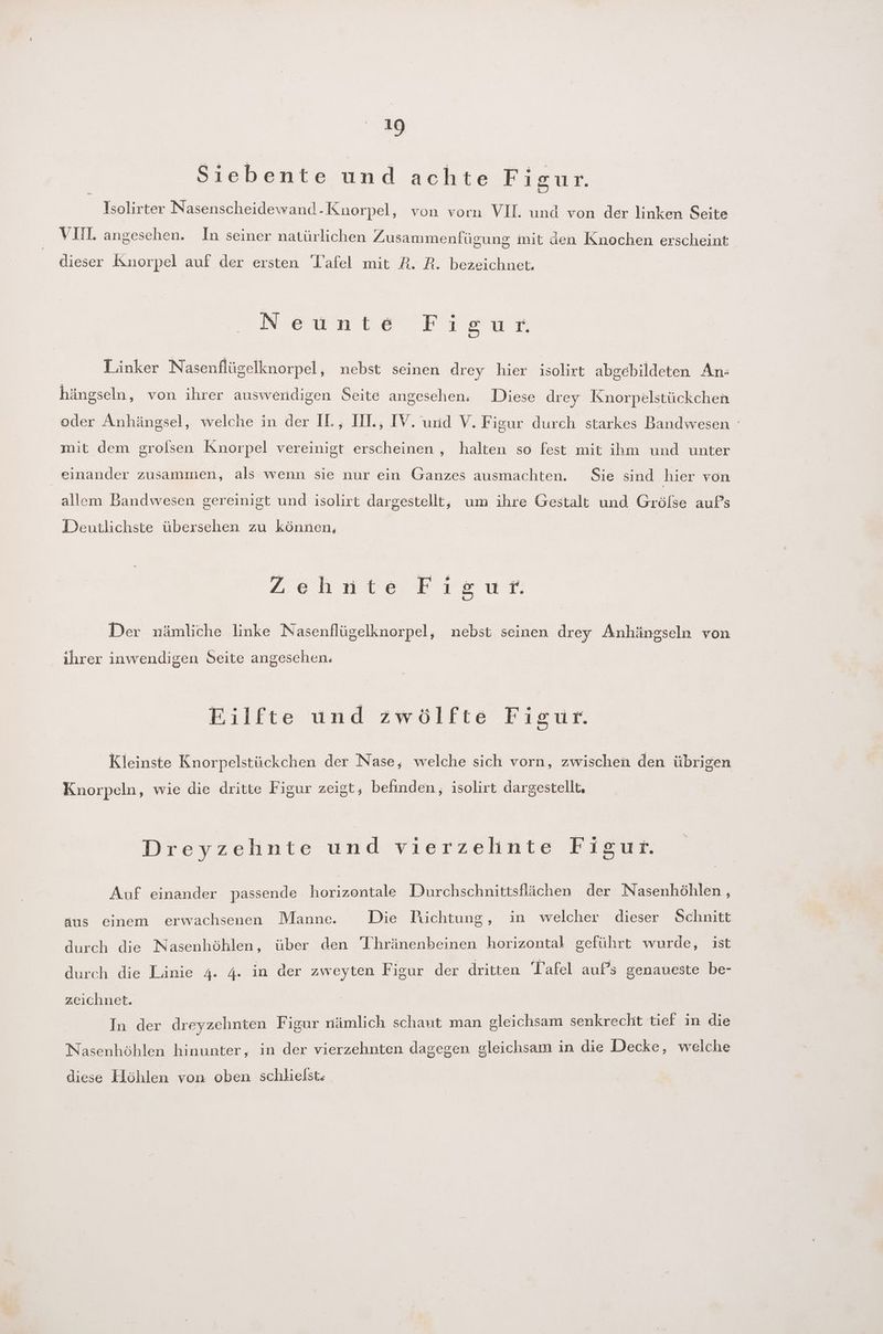 = Siebente und achte Figur. Isolirter Nasenscheidewand-Knorpel, von vorn VII. und von der linken Seite VIIL angesehen. In seiner natürlichen Zusammenfügung mit den Knochen erscheint dieser Knorpel auf der ersten 'l’afel mit R. R. bezeichnet. I De a a a Linker Nasenflügelknorpel, nebst seinen drey hier isolirt abgebildeten An- hängseln, von ihrer auswendigen Seite angesehen. Diese drey Knorpelstückchen oder Anhängsel, welche in der IL, II, IV. und V. Figur durch starkes Bandwesen mit dem grolsen Knorpel vereinigt erscheinen , halten so fest mit ihm und unter einander zusammen, als wenn sie nur ein Ganzes ausmachten. Sie sind hier von allem Bandwesen gereinigt und isolirt dargestellt, um ihre Gestalt und Grölse aufs DDeutlichste übersehen zu können, Ach mie rtıeur. Der nämliche linke Nasenflügelknorpel, nebst seinen drey Anhängseln von ihrer inwendigen Seite angeschen. Eilfte und zwölfte Figur. Kleinste Knorpelstückchen der Nase, welche sich vorn, zwischen den übrigen Knorpeln, wie die dritte Figur zeigt, befinden, isolirt dargestellt, Dreyzehnte und vierzelinte Figur. Auf einander passende horizontale Durchschnittsflächen der Nasenhöhlen , aus einem erwachsenen Manne. Die Püchtung, in welcher dieser Schnitt durch die Nasenhöhlen, über den T'hränenbeinen horizontal geführt wurde, ist durch die Linie 4. 4. in der zweyten Figur der dritten Tafel aufs genaueste be- zeichnet. In der dreyzehnten Figur nämlich schaut man gleichsam senkrecht tief in die Nasenhöhlen hinunter, in der vierzehnten dagegen gleichsam in die Decke, welche diese Höhlen von oben schlielsts
