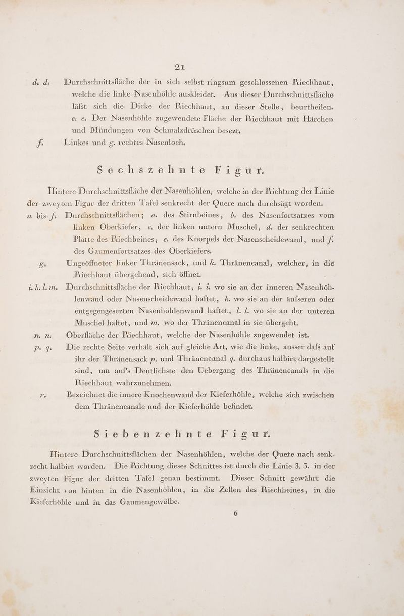 d. ds Durchschnittsfläche der in sich selbst ringsum geschlossenen Püechhanut, welche die linke Nasenhöhle auskleidet. Aus dieser Durchschnittsfläche läfst sich die Dicke der Riechhaut, an dieser Stelle; beurtheilen: e: e. Der Nasenhöhle zugewendete Fläche der Riechhaut mit Härchen und Mündungen von Schmalzdrüschen besezt, | J Linkes und g. rechtes Nasenloch, Sechszehnte Fısuüur. Hintere Durchschnittsfläche der Nasenhöhlen, welche in der Richtung der Linie der zweyten Figur der dritten Tafel senkrecht der Quere nach durchsägt worden. a bis fi Durchschnittsflächen; «a; des Stirnbeines, Ö. des Nasenfortsatzes vom linken Oberkiefer, c. der linken untern Muschel, d. der senkrechten Platte des Piechbeines,; e; des Knorpels der Nasenscheidewand, und f. des Gaumenfortsatzes des Oberkiefers:; er, Ungeöffneter linker Ihränensack, und A; 'Thränencanal; welcher, in die Piechhaut übergehend;, sich öffnet. j;,k.l.m. WDurchschnittsfläche der Riechhaut, z. x wo sie an der inneren Nasenliöh- lenwand oder Nasenscheidewand haftet, %k. wo sie an der äulseren oder entgegengesezten Nasenhöhlenwand haftet, Z. l. wo sie an der unteren Muschel haftet, und m. wo der T'hränencanal in sie übergeht. n. rs OÖberfläche der Piüechhaut, welche der Nasenhöhle zugewendet ist. pP: 9: Die rechte Seite verhält sich auf gleiche Art, wie die linke, ausser dafs auf ihr der 'Thränensack p. und 'I’hränencanal g. durchaus halbirt dargestellt sind, um aufs Deutlichste den Uebergang des 'I’hränencanals in die Piechhaut wahrzunehmen. Do Bezeichnet die innere Knochenwand der Kieferhöhle, welche sich zwischen dem T'hränencanale und der Kieferhöhle befindet. Siebenzehnte Fisur Hintere Durchschnittsflächen der Nasenhöhlen, welche der Quere nach senk- recht halbirt worden. Die Püchtung dieses Schnittes ist durch die Linie 3.3. in der zweyten Figur der dritten Tafel genau bestimmt. Dieser Schnitt gewährt die Einsicht von hinten in die Nasenhöhlen, in die Zellen des Hiechheines, in die Kieferhöhle und in das Gaumengewölbe.
