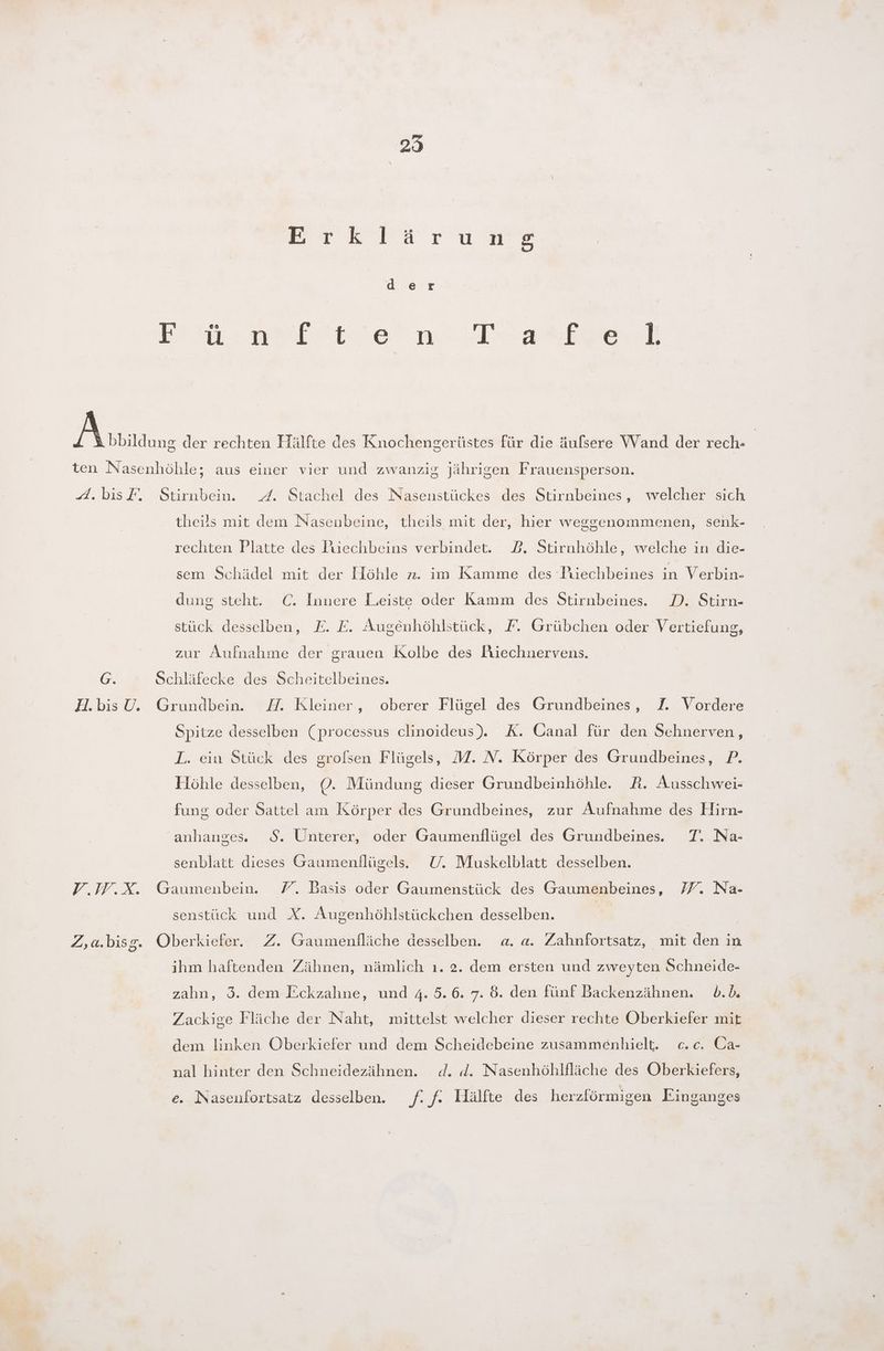 29 PBıwrıaorums der re ni ae Mn. der rechten Hälfte des Knochengerüstes für die äulsere Wand der rech- | ten Nasenhöhle; aus einer vier und zwanzig jährigen Frauensperson. 4.bisF, Stirnbein. _/. Stachel des Nasenstückes des Stirnbeines, welcher sich theils mit dem Nasenbeine, theils mit der, hier weggenommenen, senk- rechten Platte des Ruechbeins verbindet. 2. Stirnhöhle, welche in die- sem Schädel mit der Höhle z. im Kamme des Piüechbeines in Verbin- dung steht. C. Innere Leiste oder Kamm des Stirnbeines. D. Stirn- stück desselben, E. E. Augenhöhlstück, F. Grübchen oder Vertiefung, zur Aufnahme der grauen Kolbe des Riechnervens. G. Schläfecke des Scheitelbeines. H.bis U. Grundbein. ZH. Kleiner, oberer Flügel des Grundbeines, I. Vordere Spitze desselben (processus clinoideus). K. Canal für den Sehnerven, L. ein Stück des grofsen Flügels, M. N. Körper des Grundbeines, P. Höhle desselben, 0. Mündung dieser Grundbeinhöhle. A. Ausschwei- fung oder Sattel am Körper des Grundbeines, zur Aufnahme des Hirn- anhanges. $. Unterer, oder Gaumenflügel des Grundbeines. T. Na- senblatt dieses Gaumenllügels. U. Muskelblatt desselben. YV.W.X. Gaumenbein. 7. Basis oder Gaumenstück des Gaumenbeines, 77. Na- senstück und X. Augenhöhlstückchen desselben. | Z,a.bisg. Oberkiefer. Z. Gaumenfläche desselben. a. a. Zahnfortsatz, mit den in ihm haftenden Zähnen, nämlich ı. 2. dem ersten und zweyten Schneide- zahn, 3. dem Eckzahne, und 4. 5.6. 7. ö. den fünf Backenzähnen. b.b. Zackige Fläche der Naht, mittelst welcher dieser rechte Oberkiefer mie dem linken Oberkiefer und dem Scheidebeine zusammenhielt. c.c. Oa- nal hinter den Schneidezähnen. d. d. Nasenhöhlfläche des Oberkiefers, e. Naseufortsatz desselben. . f. Hälfte des herzförmigen Einganges