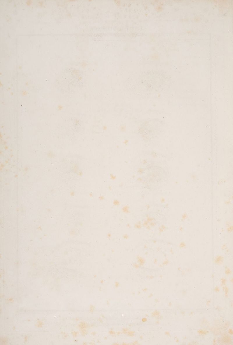 ne Pe ”y] nF cn ee A a ee > tee ee una % r % ar » « u ge ru 2 En fi N .n . Et en Ba: en a s «