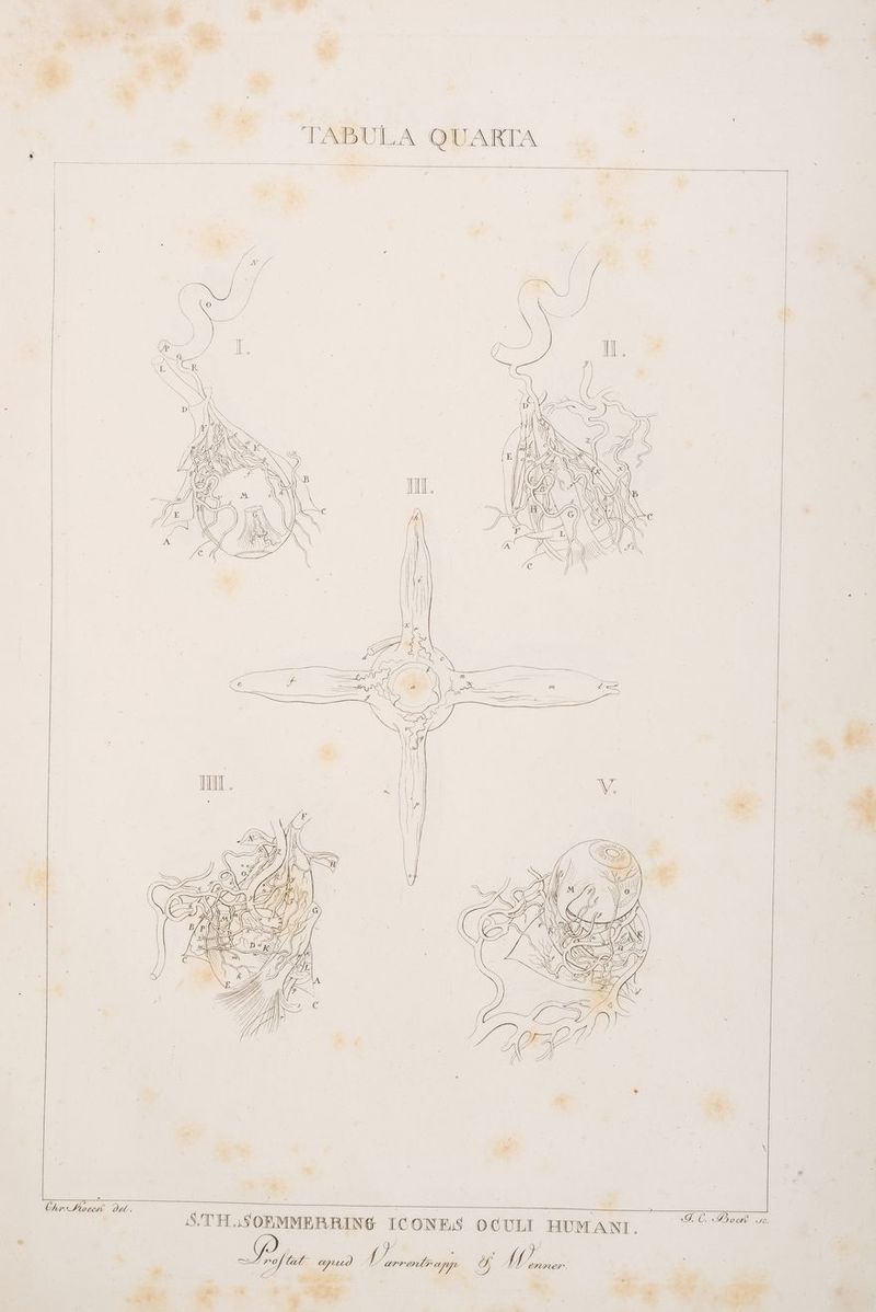 7 a a ö | — Di | | 5 | AO = die a S.TH.SORMMERRIN® ICONES OCULI HUMANT, Seit x ”% 2 ’ > # ‚ J v ge 0 E te ER “ 26 = Pr