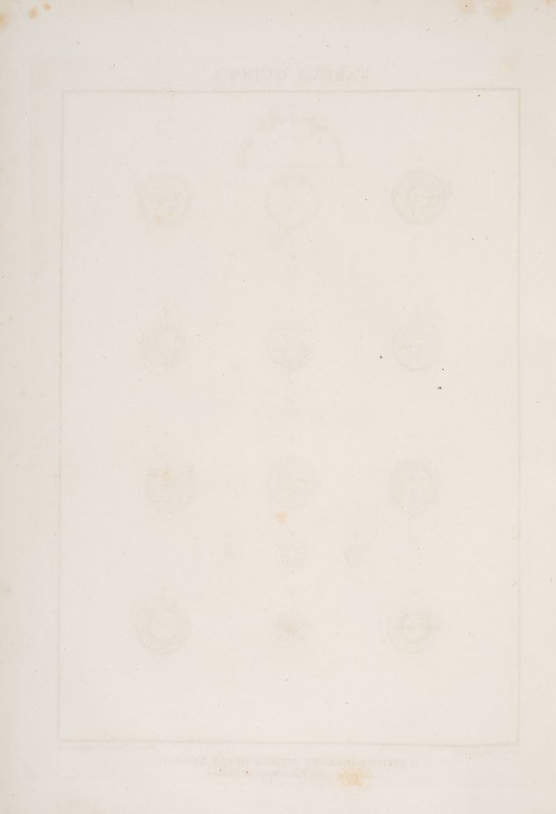 . - . D ’ N Er Tor “ FIN RE, * ne Ka je Pr a’ Pe wir y- 207 DET uz 5 er Ka v B » ® u Fi ATS £ Din SE 2 er BL, x R N ’ - a: a . L « P2 2 . mE a, 5 # i 5 R v [2 n e x . : 1 y r * ‘ er ’ = is &amp; u ‚ 2% © - Er os Fe / v . j i r I * e : N ne) - x x f h 2 / x ’ 1 * a: ı B: ' - R er n a v 5 1 = 5 R- . \ Li Fr nn r * Fe i 5 a D r > Er = Y j - Pony: ı* : E . .- Fr er ' \ y hi 8 ? [1 . &amp; © E * » J E a Zah: ” ‚ fi a i 2.73 a ‚ S- j Pi u R ; / R ” n j = ’ Nr Aa ig ba \ bh D . Al - j 2% j r f ı Fa - Li - 4 “ j ö . 2 j u N} k a v2 [4 i | fe ı _ * “) $ . ' 4 L f 2 2 ‚ f 5 » x ® a Eu 1 ‘ aa . D N 3 . 2 £ N A %, ) . “ 3 R - 5 f . os u x er \ De - m 2 s PR n i w N - 5 1, RER. 5 ee zu ’ . H . P b ». 0; u. r [4 u F; ” > - - . E ' x j R PN m Aatczui ERTETERSETEEEE 5 Ee omr aaw Gt ee en Ar en . SAG u i =“ Fi ’ ‚ j TE » $ &amp; A 4 y 4 5 53 dr > * « x } 2 urn Be use \ ’ ”. i es x E F 32 f 1 Su u 2 . u . B TEN) ’ Du Kr N ae . Ei a - A e . \ »- £ ; Br . fi j re RE BEFMT EEE 1: SE u ae RR Sr Dr r \ % i a4 ü u m 5 = L be? ll h } IRRE user 78 nr: R u Be, i j ) fi j . 3 . Da \ R u . 2 MR e 2 i j Pos 5 j „ 2 dag a ET Be : Ä s I ı u BER : oe BL 2 ka + v De: a‘ 2 uw D jr i ’ &amp; f E a u 5 Fe! er IN nA ER ’ - ”% “ j 5 R Er \ x, % PB x ' er &amp; “ . ® D A = Er f y ' i PR] p ar vr a te PR IE Be 2‘ RT % n. ur ® &amp; ar Ri ( e , et \ . f j | 5 ‘ a; 2 i A 2 ni