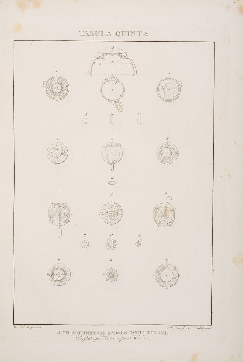 Ri 5 Ohr KoechE Yalnzit. | | er Ne jratres Seulpfertent: S. TH SOEMIMIERRING ICONES OCULI HUMANI; | ER Cu apud Varzentzapp se Wen)