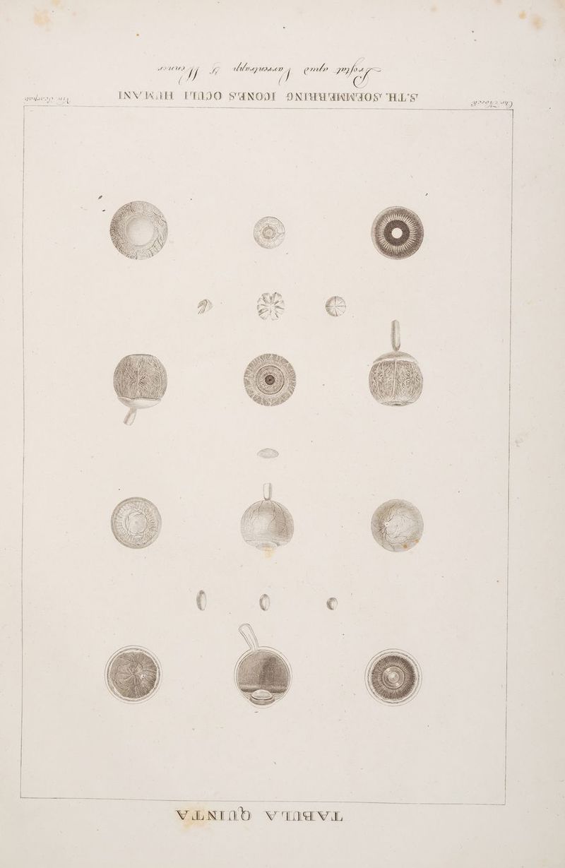 / ( f. / D202 2_ A AD, 4 u N \t INWVAR A, N oyamop un ( sm Pr Su EL I AD U, m. VENIND vradvLl