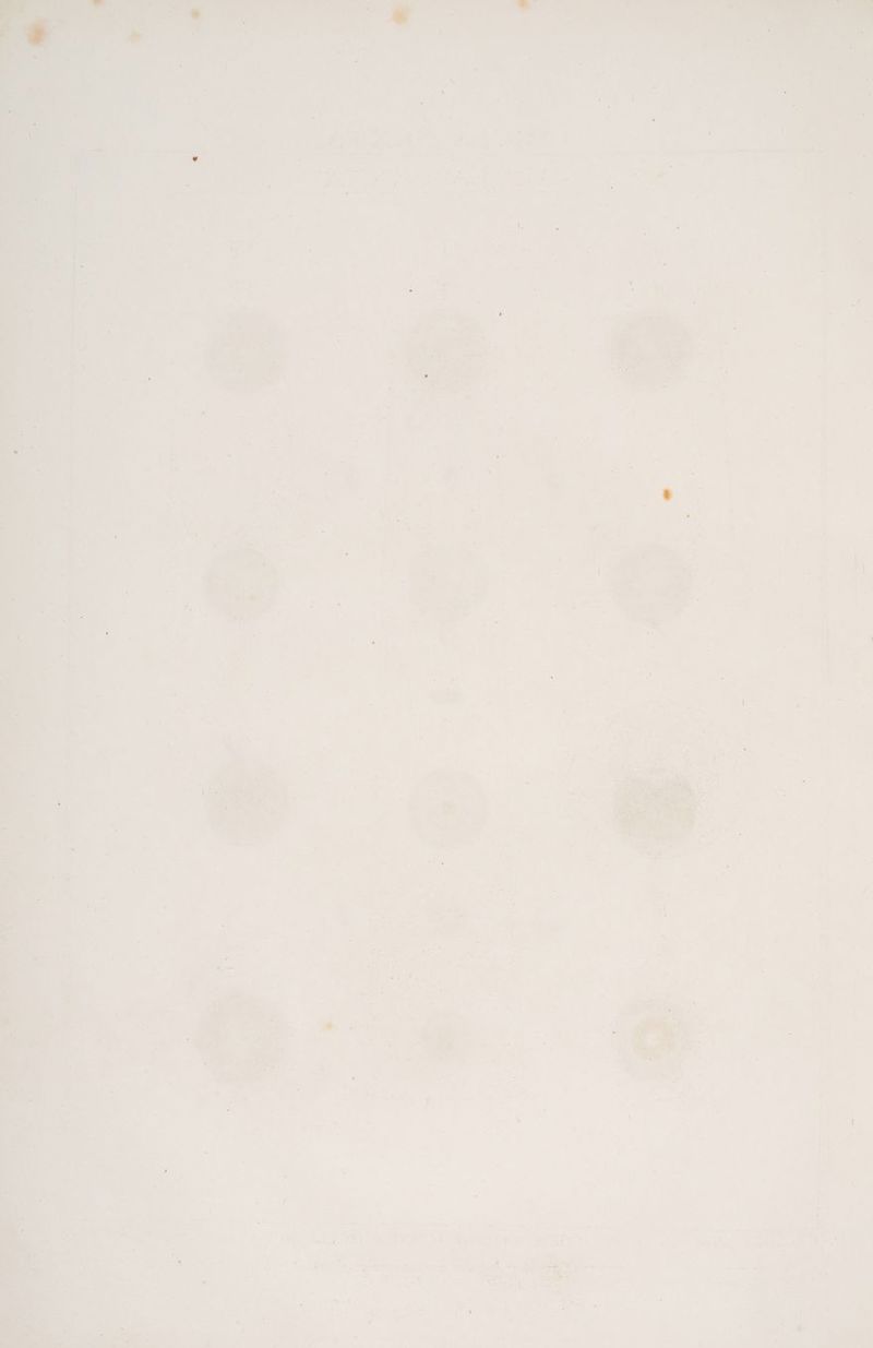 * > “ - Fr 1 a WE . . a . r ü 2 = ni. _ PM % RE Wi ro r Pr IS .. ee & ; am er PETER e. ai A en + rn D > F 1 4; # * En L y hs Ds R ER h , 5» e en 3 „h Dr f £ ö j ® . ‚ er, “ N Ä Ri , ‘ Ri j r ne = = w D . v - > R & F x * Ir % 1 Kr “ t . are \ Fe R . % . \ - ' = & ’ .. ‚ ‚ F Om * ‘ e a‘ # dr x r