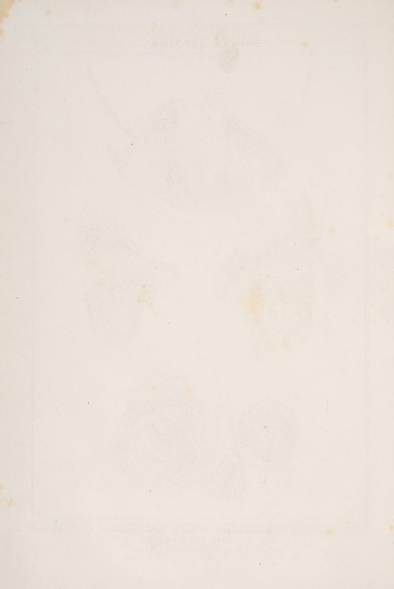 le gti * - rc ar Bere er < Kehr #2 Ai EM LE DE ern! rd eh 7 % EN “ un mn us ee ER 24 BZ “ un rt Anghhe 7 er % re BER 7% e; pP he =“ he, Der . r . Pr LTE in %