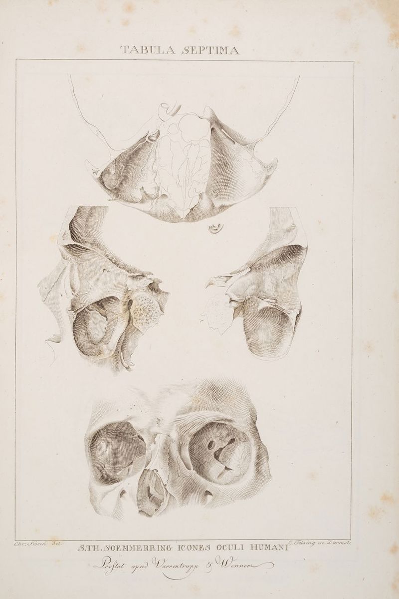 [pP 0. ED A ARSE, s c Fels 2 € C. NUN N N SSHL => RN NIS en — > er REN >s E77 7° P4 N = Yu f: \ h IR \ N z < , GTDHERE DD j Bi - ’ @ DRG z ; Y | N j TREE EEE, / } DNA un mr REN 2 2) IH = / Ä BIP, | ! DD: I co A , GEHE: &amp; | s # FE 3 —L DICH N 7 N f I H I } ge c N a N _— J [6 DI 2 ra ur Sen —— Se. >> Fe — ae Fe 22 22 / >= \ ‚S.TH.SOEMMERBING ICONES OCULI HUMANI za 8 ] I HH), TABULA SEPTIMA er - MAN => “ DB ISSCHSS RS Bi SASSSE SEI EN FG VISSS. FEIERN Ian S / SERS! 2SISDIIIIST IN >>> SS G = N SI SSEIIINR > 4 IS IIND, IEIIE— 9 IS Y x N) N \ 2 WISH. X N N] f / / 5% U fe / G Do, ZH N 1 NN, ; / /f; // f 77 BIS, gE8 TH \) N IN RN N N N N N. N 6 WILL 7. 17 Fer Hl DEE GH ! IH HH, KH N WINNIE N \N N MN KADOS AN NN N IQ —— F 2 25 7 PL SHHHE DOADT Stoechs Del. ec > f% CR zZ U zo