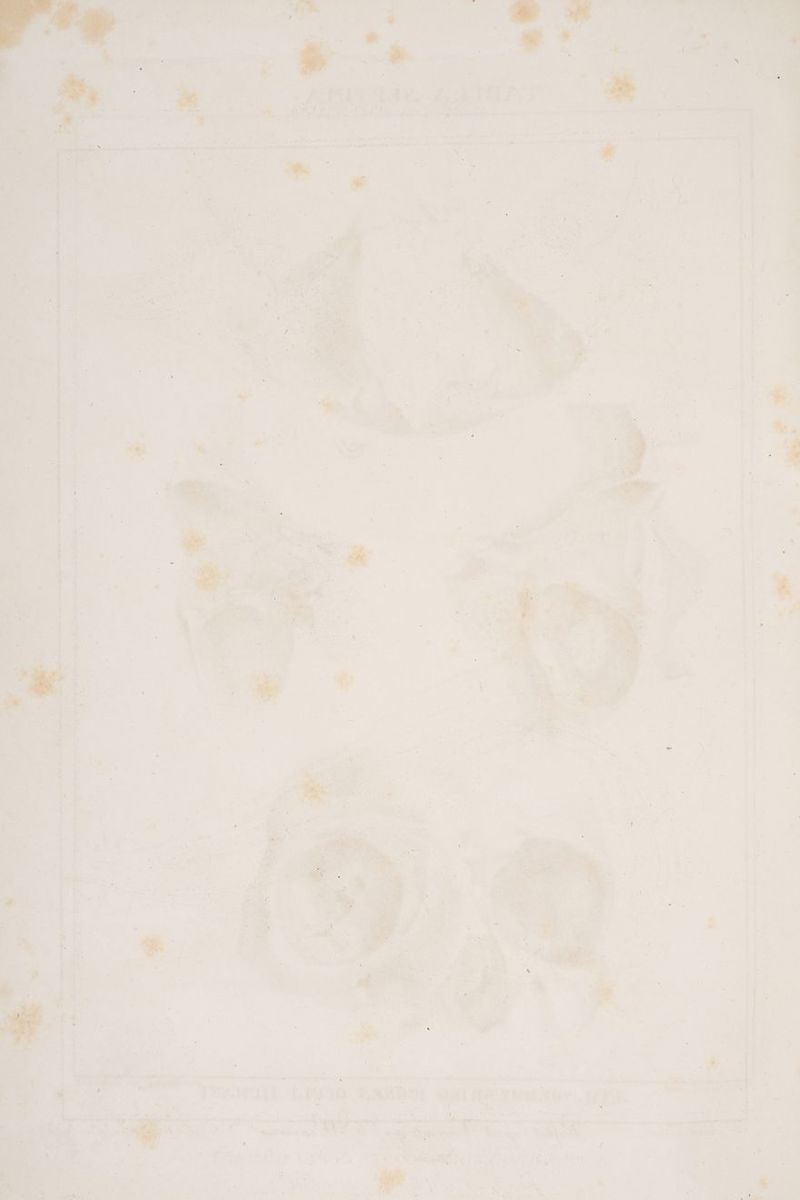 “ B ar Ann - En u. Fr Fi vr h ur BIT Mi. er Zn 7 ur RE ELTWELWERR nn Pe 7 “