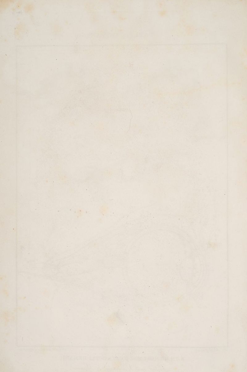 . * 5. \ fi u a eg ‘ er Dee N ’ gu Yu U u ii in « rang #4 u er u ae Fa ur ; WERT . ‘ „ z vr ee rz r un