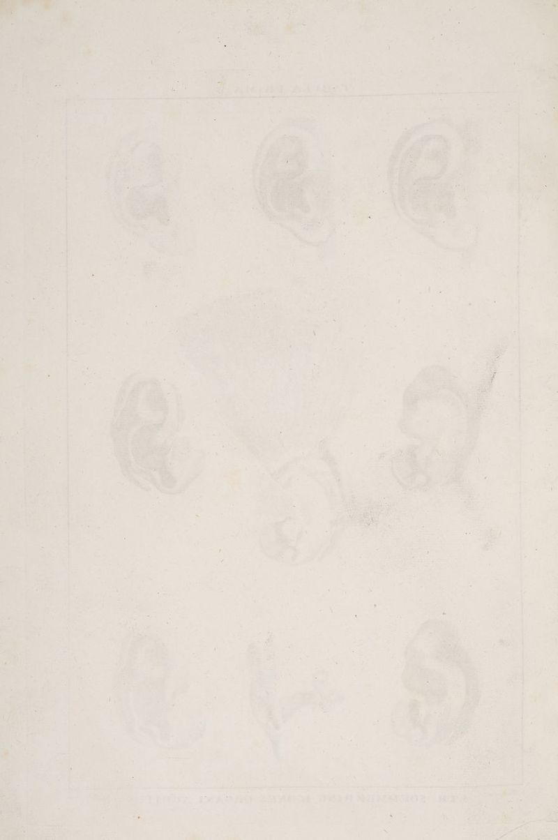 PrA t ä ee a ee 16 AR er N Zr 17% WERE al 2 BD ya A |