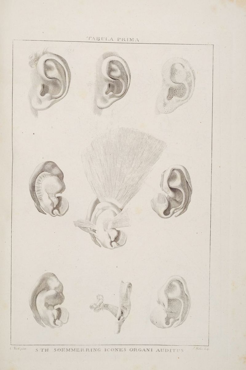 SEES ZONERSLN SR RR IH I7% HG , DAR == ax 7 AUDITUS ER OBGANI IMLA J R N T P| en ern u  1} N I I} IR in ICONES T FTABUI.A r 7» u SOEMME IR SZ WFT FE