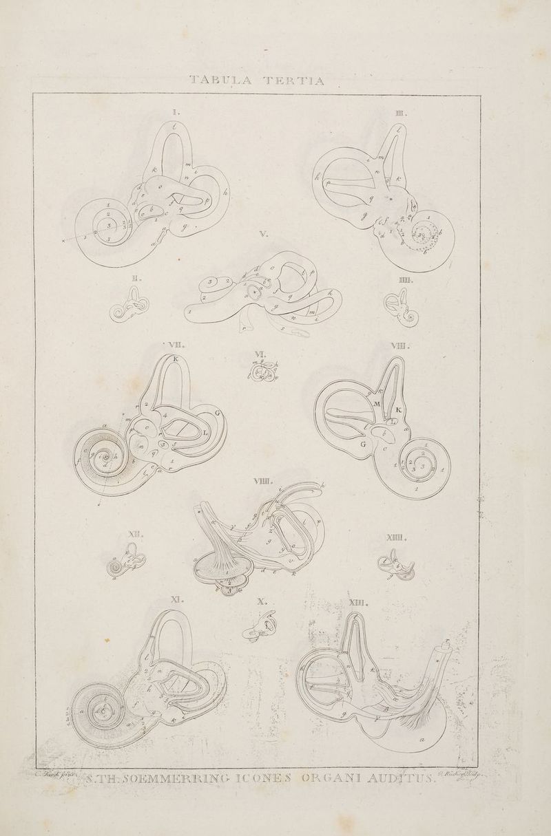 TAB ULA TERTILA a — — — 66 — ee oo, Ten m eg RER er ir - re Fr =“ | 2 u 47:98. THSSOEMMERRING an Falf z ICONES