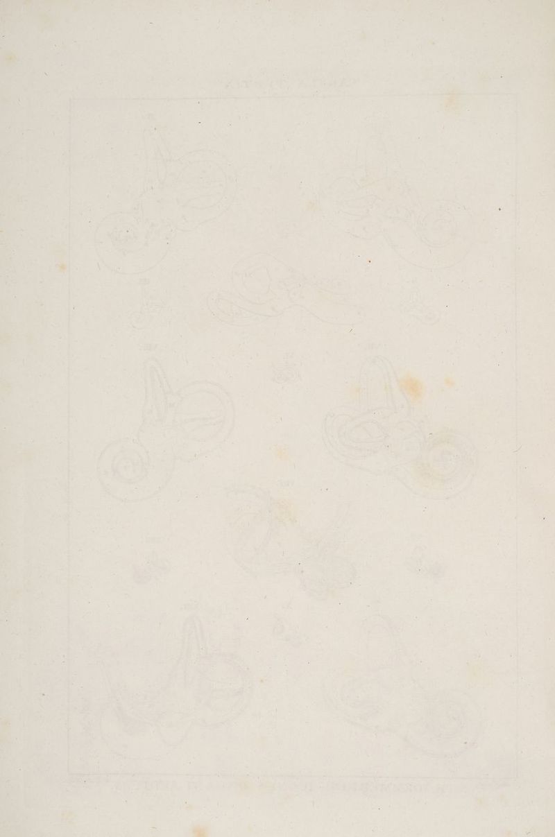 u « Mn FF in F 4 1 u ea rn ET en ne ge N P x br R N Mr y R . I: Fr - € 2 - . x a > ' . R v N 7 ' \ n / h a } x 4 ‘ i FRE Ve =. # si x 5 ne ‚ an Ms #.- { RAR = = F ’ u £ Erz T ENT Zip \ 5. el i u i BE. ar ET ARE N as &amp; N Ee. 4 ö 4 Feen N En s “ee z { ' y Be Y Rs = REN b = N R % ) e y “ f r nen N BOB PER. RUE n PEN Peer Ze Dali N m‘ ER Sa ae ee ae IR: » gen Bu 0 Er Bo .r u aa ein Te ne) ea Tre As m un N) el Ita a Via k a ö . e er f N R # ar 04 N . . su m ” ve jF 3% kei Er E r ey R 1%; vj IX Y er Pr v6 H ’ # Lkr # \ ee Ede 0 te Fe BE a Pa AH Ver IT RE TS en ES I A ‚ = R % . . u A 5 A D \ a N ß