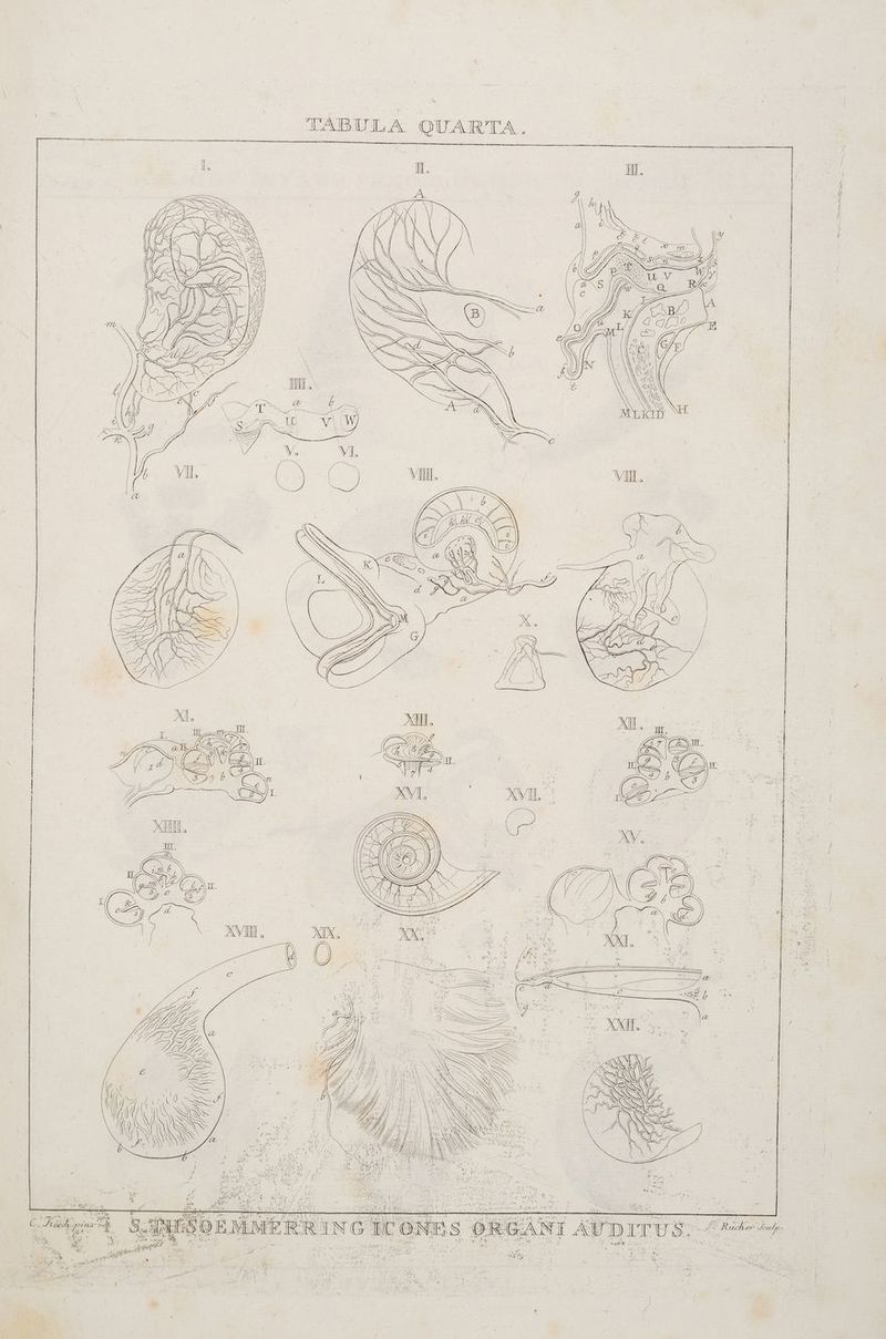 TABULA OUARTA. en nee nun nn in an al an Una De ul a Se Er ns ; — — © a =, SE | ( tes ION L _— AN BT E a (3 WIR re VEATHPANE u + 2 H we &amp; . 2 di u Ah eig FRE * Mn; ar) 3 f IR De eine 2 Fr: # . > say, f r 3 y Er a v A, Wir FR us are NR * % r er Ken * ‘ ee AR r ; e ur TE 3 3 \ Yun! h u a ee Vet er 4 an. a Men a ur P. R u in 1 D N EB, ge PR X LO B dd, .Nyas 2 3 Aal rer ae ; ! \ NR ; ee . ir; &amp; 2 vos Kuren an Te er arg Nun AR a D Ze ne N Br REN es N FAT Mi a En. se ä ' re Sie ; SR IT N SIE TR ra FERN ed; DNS” 4 Ne Malbaene |E za he | v l Y l 7 Ss N tuc/Ler Jeubp- 4 1) 4 , W L nr N rom er D Edit 7 2 n P) II, FR “% 45 > w er E Mr! 3 ar Te ' une . a ee Ba | ER n ar v s h » u “