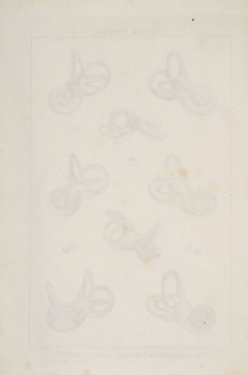 “i Fe Die EN, ah u ter en a} ae %e ee er tn en er ee 4 A 44 > BI a Eee x. . » #. Anne en '; ’ Re RE Dee, ” x kn an Et une - ” ihn PAAUFE tn en eh a 2072022 ee Ey 2.22 we ne Fe En a ee I ehe x  e u ah er = ee ü © 5 u » 3 ve; a Dr x x > r. i a ee « fi En 4%