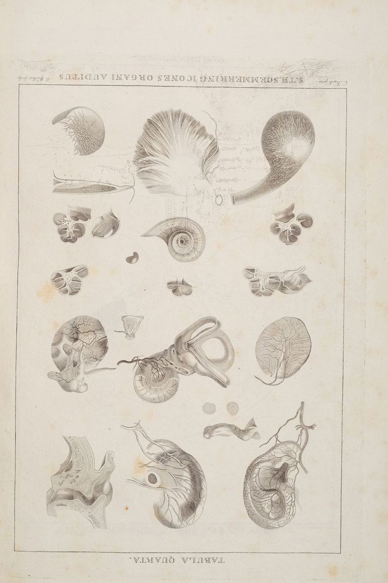 ar a \ x a preis SLIAAV INVOMO SANOOL BNIHMATIH A a 14 EI NY un ee nenne RS NS EAU, NTSSD ren (Y; / H. . N \ N PN IR N 7, | Mi N Ir >= % SE HE SS = DI IN AND ll EN i N I RI KEIN > N k AN Ay \ NN {\\ Mt m \ I N