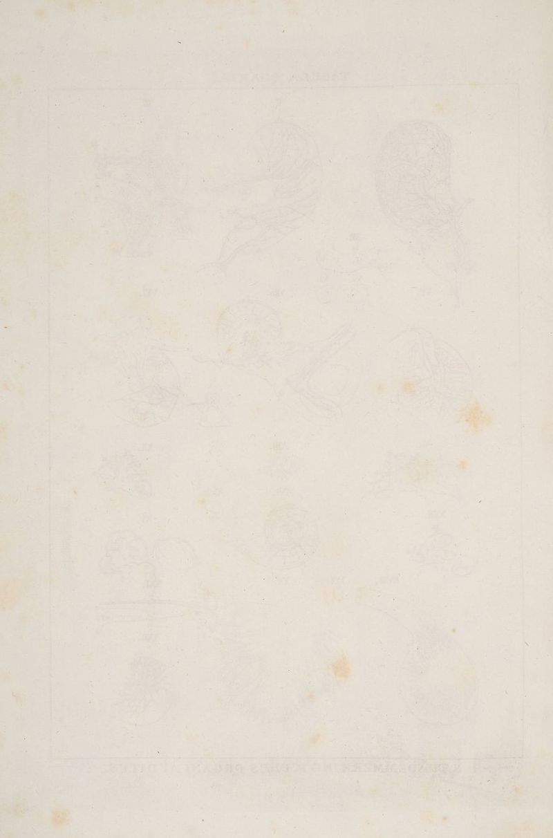 ß nr % . vw ‘a / * r u ar en Eee Fe a nz u ee | NEE ne .. — aa ar) - x X „> \ DEREN nn hin Be ee ——— 2 ARIIRIE SER