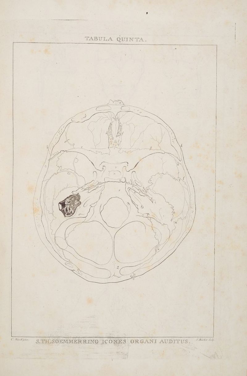 a sen TEE BED SE BESTE FE BEIN are AI DC BL On Bu ra a Denia er meer area rs m u En mn a Bu a an Von sense Tr am wa ge a nn c Aoech pinr. S. a H:SOEMMERRING r „EC ON! % Ss \ OR GÄNI AUDIT US E r 4 |