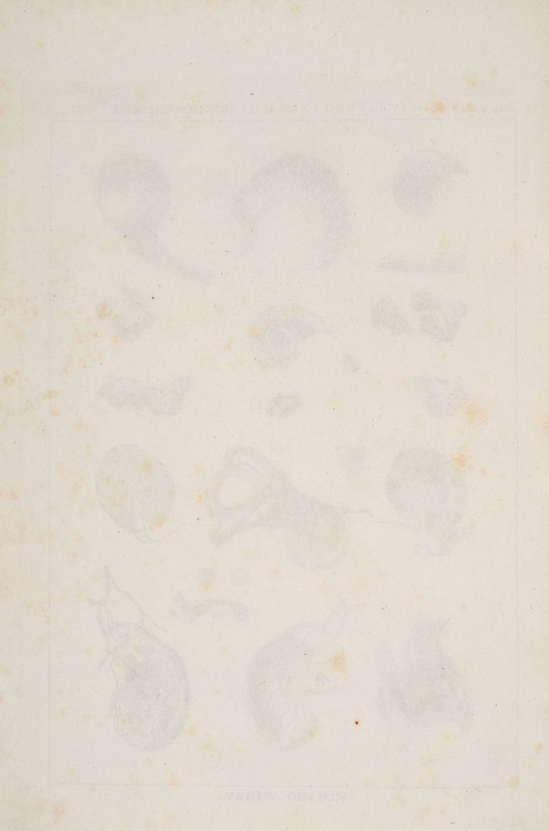 FE Pa . Dr 4 E ne Ir RE Ey. al A ru Pe zn u u ET rn / «LM, , = BEER rn Me Pe WER