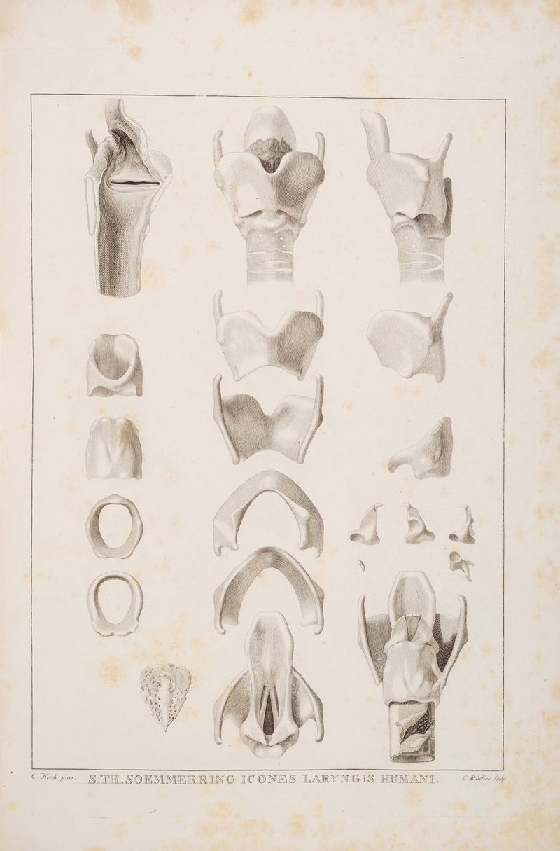 INN — 1 — GG GG TÜR \i G N \ . Rt \IN FIN \ | || \ N rim] ZINN [LALBARN) I I INH f \ ! Hi ] C, Hoch PINK.