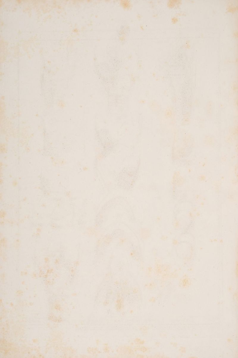 >=“ 5 u : Sl yie er ee non Dan ne on; -.s: in ee nt ss es