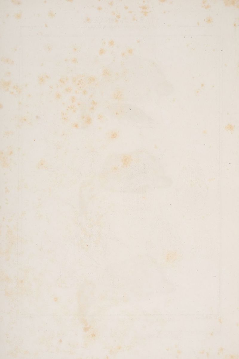 nt ee ne . Ben : EN NEN TEORENNRE ET 2 ee Ey ,e ger: R\ “ E re .. e#n, - E 5 een ne ET e I Y | ’ u Er Dr % nt _ Er. Erg, I 4 ” 4 N ! wine “. “s “4 ö r 5 vie Bu - 5; el ar i 2 re Zr nz