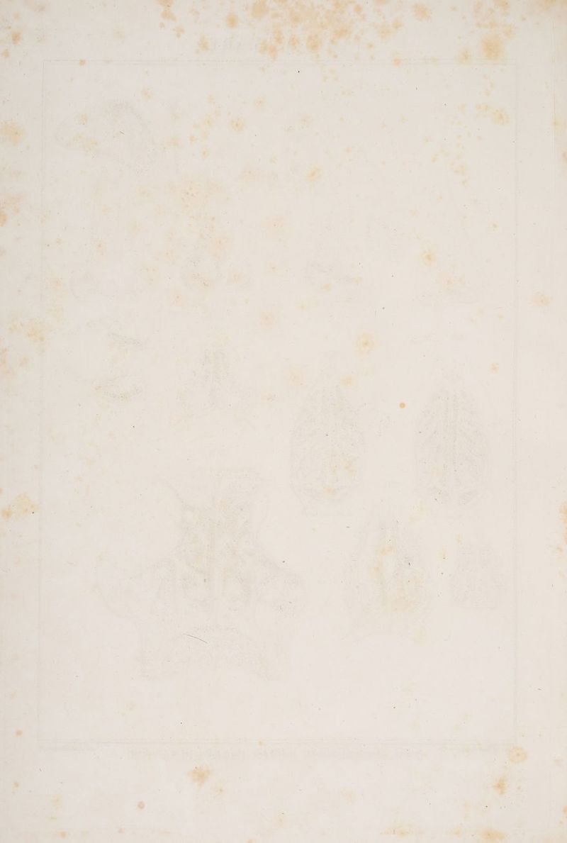 IE, Mk! He re t x 5 Be 7. Gis IE FPE Pr E uih ze he => EI eu ee Po Pe 2 5 BPen De Sue ee .. “ . Wi = Er a - .— > OBEREN run fi ni 7, N em ER CHAR en ” Per “ nn nr ee En na - 4 “ » . mn Un ae ea nn denn a P . N] 4 x s ® x PR .— Sue Upr PR Be a a a a ER ra mn ea Ten Hann En a a 2 u f I » 2 { ' * e, j - Ze, a i F x ve, Hz . A re N £ \. > 2 z I > TE N Pu un Ber RN BE Bas er 8 ’ PR , A 4 #4: in “ r n = S r \ N .. ! Den N . y . - &amp; - E r Zu ‘ ” ” ö ’ = I < x d : « A ® „ ‚ - \ B Nr = 5 e f 2 f r . £ . > L | x