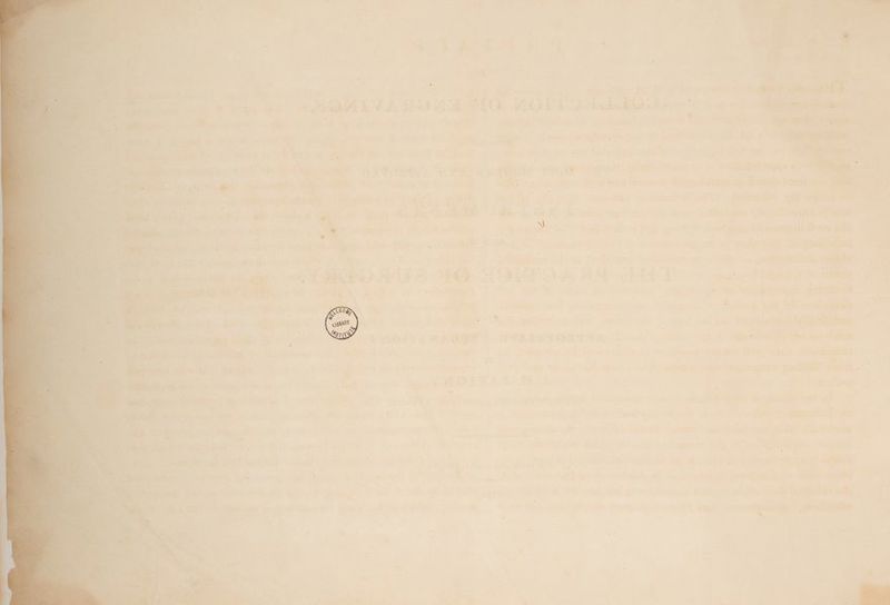 - al a ” é sis ‘ . r ° ‘ . ’