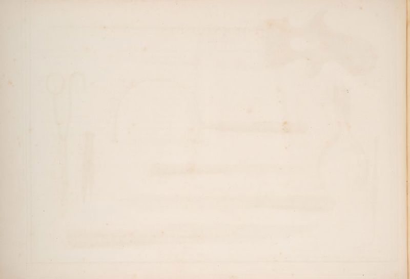 if i oo =v Am et A lee ‘ “ = ! f A H ’ ass ee , - P 2 § ty t '? ‘ ' ' - ‘ ' ‘ ’ ; ‘ R ; ~ J ee , ij 4 : ae ered, > i et si cca, . Pe er > “ ¥ i : i ng Z 2 = rd . “> ‘ 1 a H i  ibe 4 ‘ = ’ a é : + ‘ ’ . ¥ a 7 <— ' ) ’ ° rs ‘ ’ ' . ‘ fe “* i + « A = - ‘ “ this ee te > ' ’ Py “ q . ’ : 4 i ‘ _ * y* : slp 1 <« * 7 i ‘ ¢ 7 ; , a Fs — i. a > - . : eae ree ‘s > See Cats ye sernyre: . oo LSD OP pee ye lea ae Fre , = ; be v ay | i a : 4 ri ‘ ‘ + > . ¥ ’ ‘ = . ‘ ns ; * ° *