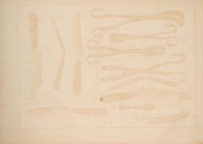 “ “ we ‘7, = ‘ Fi om et . ite Shek hig , . “2 > a yiletahd ~ > Ca by tee ee Toe Sor a Soe a ate ae owe ce tes no 7) ie? us a ~ “a. we . y i hee . f. 7 Deel, 7 aw Prk PY z = > s > 7 7 . wae 5 en ve — Ei eee rates oS a eee ROH eee oe a «wy a PCN EE NELLA ATION ID cing oor tare —— cme ca — - 9 ; 4 ey “ “et eas \ ~ , ar é td . 2 t AeA” tes v AL! 5 > - ‘ . - 4 > ‘ a i] La a: ee i Jaa * ’ aay ¢ ied 4 4 faa y “ ee ee Yeh wt i pe as ae ? ‘a nd \ yar a Ay a o,* : e - , 4 7 ¢e ag! 4 é Pat ade ry } M ie bef 5 Ne &amp; _ me Pa aS i —e sch * a ee , GS PRA R Yo EMT ETS A ESLER eae 2 ¥ pat! he Ls: - Var te On gr a aA, Ogre Tea fie . ed « eT es not ‘ . 4 * a IF ‘ hovee . , ¥ . ‘ 2 7 . og PO IRE ' oe