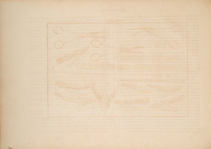‘ 9 he ieee. to ise: fi sre. «bs 7 ar ee peti a Ss “te. * a 1% gh Pond bos {e'< Gae ties tale Pee ‘ iy 27 3 | = ve i oy Gad, ¥ ee ees Swe! rake ae Renter cne.'y EERAMPES AR LT EL OF ERE BLE a