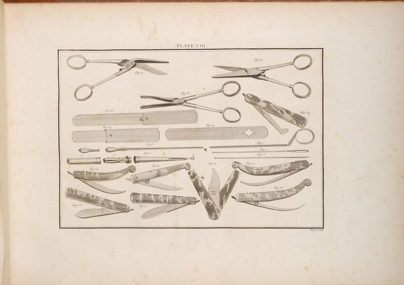 BO eee * i i > i i | ¥ ‘ s . ke ¥ ” s ©