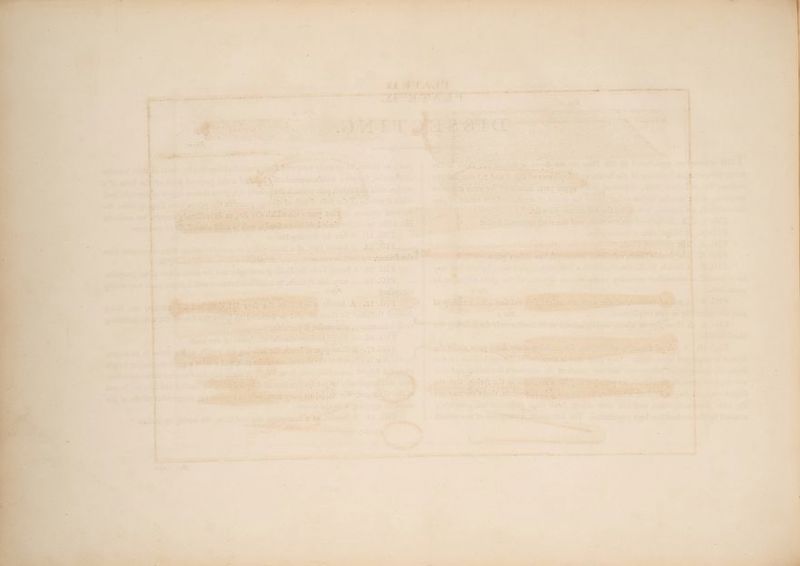 ete J Bi Rare 5 PT Oe » . : 2 oF \re rts oe cS ee ed ot ee ae ots Ek 33 ss Yaa * a 4 ton as | ck vetes Pases Lda > _  : Ceara zai . o <5 a : c, - ene matt.) a; Petey A RY Oe Peers ap Od