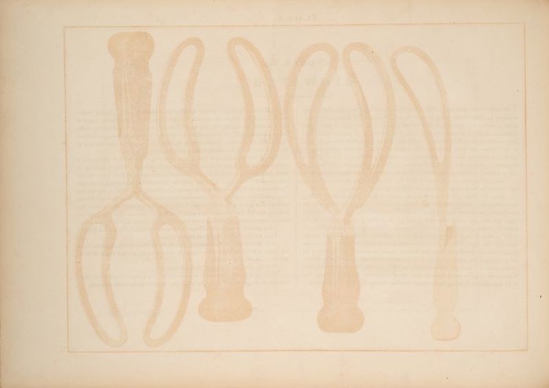 | ay . é . ‘ * - ~e _— ‘ ’ ‘ ? =~ id . ' y . 4 4 : 2 . nae , = 4 ‘ —_ - ‘ ~— > . a ’ “ ' ‘ _ v ‘ 4 * . ‘ , I : af = ‘ - . « + + . Be . t 4 o 0% ‘ 4 4 “« ‘ . 4 <a J a > ee Pe ‘ 4 2 ’ : t . “q ‘ ies . iS « P ; a 1 ‘ be = f 1 ‘ 4 ' ‘ ine ; ; ' i ‘ , _ ty 7 > aes : . —4 ‘ J ” ‘ . ’ ‘ ** . a 1 F, : . , e ‘ ; ’ ’ is é 1 J F; = 1 ‘ a re “ \ + ; s'= : ¥ : - - = 4 ’ < Sirs! » .@ . v - : i . ‘ i ' , ve 3 7 es . ‘ a ‘ ; - ‘ ; uP ‘, S y : Fe x sits ~ t . . P ; rs | aie hae aK q ih , ‘ , . > ’ = : ; s Py t . 4 ‘ - / ‘ i ‘ io py . Ania j rq ° 7 pes ‘ ; é w e3 i * . . re 7 ? 7 * ’ ' ¢ re 1 ans cr ey 1 > g - wt i oad . 4 q ‘ * ‘the Su \ 4 rs r Rie - ' t 2. - ,y 3 Me F - . ’ . t a: se ‘ ‘ = , i i i Me , ' ‘ ' : rd : ba I ‘ ‘ ms, . ih : ¥ oo “ye . as, . 7 , * ’ ¥ ¥ + = = ¢ a io - . J ¢ ' , ners & “ . P ciel > ‘ * 4 . - ‘ . 5 h . . P 7 4 . os: ‘ _, is ’ - - : : @ € a ‘ \ \ in : h A ; ~® 45, . 2 ; 5 ‘ « Ba 3 at Bs ‘ ; ew; - é : ‘ ey > 2 ‘ 4 et . > * ’ ae . : ‘ , - ie COE - : q 2, * . f ‘ > i :% . Le a : & j ai’ * . = ba Sa “th , « ~ ome. - Oe % 5 eT a ern SEE ee? Sage ,