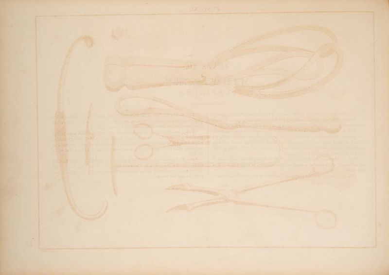 be et Me ee D aay oat ees Bees ce Sg ie OF a a oe ee 7 Joie an aie = mA Se 2S 4 : F : j at 1 , ves - rT a y 3 : ; So ~ Se ee 4 dans : ee Nas enw) ; ‘ anita st aieeaceuaiiaaaeaaal si AE PRATT PMG RE LEME ERG RS: MAT Leanne Te nT A NSARM ES ss ITALIA ZIP AE ANNA OS ene eit ae ene teatns ae ey ae, ny — Cla ; 7 ‘ : Pryce ‘ i tt es : 7 ~ a b o * %: wee. ~~ me Gia er * ~~ Saat aie , > ok we) a ‘ B/as y - _ es kt ge! 2 eet pS Pint ie at K peta, led ae Wis > F a ae sets ane — ar c eet Ae oa , 4 =ery = ~ es. Sr et PSR SEE ore Ae, le a Pic e A) ee = ? . . , . » -* 1 ” — oe s De ate a , = r ‘J x al ‘ ; abla -_ ~_ pace ee Te 4 big red Pore > ste it shat + ; hs ee ene 35 J , ; - > = : ape a. ‘ - 2 } p 4275 * i 4 a i : bs veg: - a a - ree e ~~? ~ P| : eis . i hh Re ks . : ats teil AES A WW EARS 3 AB 4 i , ees og | x aes ‘ : = A - g * ‘ . ; y ‘ 2 fate ; Se. F a 4 : _ ron - eS A , & : : c _¢@ r- a | 3 . i _ - “a * - Pi ~ * = a - 4 a! = - bs = +, a Sa - = 7 3 ~<eaee - —-% io as. ~~ 1 Ri Spe. 4 ~~ ae 2 - ‘ i ‘ : a =we f fi ; - _, Sas 5 ‘ = ay « ‘ 5 A va aos ' 1 ak < . => = - > - Tee : ‘ F ‘ ’ 2 ; 1 ‘ ‘ ‘ ie ’ : - ; : G j : : — r ees oe ore eee ee Dari sk sande NN et AMARA EA ET ELIS OS OAR INL GEIS EEE ETE VM 2% ADEN PRM EG Ret ee oe AS DE OSE EEN He eS ERE aR a 6 ee tt ee ps) SMA Teh ne UT RST tn Ae ae 2 SAE LIOR H y a P Au .. : : $ : - : : ~ ’ be . ‘ / E : < = ; ; ‘ ’ » ; ‘ »? Z : S x : ' . ‘ 2 - es ; - E 5 d ‘ > - a : : ’ , . . P = - * . . : ‘ ‘ + . 1 r . “ i . = 2 = 1 = P : - - 4 4 = ri ; . H t ™ y q , , . ‘ ; : : i é 5 ee — =A + r a 7a, a «, a > - © , - ” “ =
