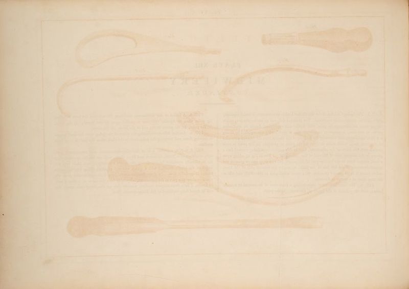 Rar 3 2 Sou x4 sor Peet As ee ut See >, sek v. ih on ~TIFOL 0 lbese J, Wants ee ‘ ~ =) : ae ee iurste sr WP is g ee) a Par ate fh = RAS as ray ~s Bt Dit: * = fBt i ii t Be athe ahs habn oi] id y “eo Ey