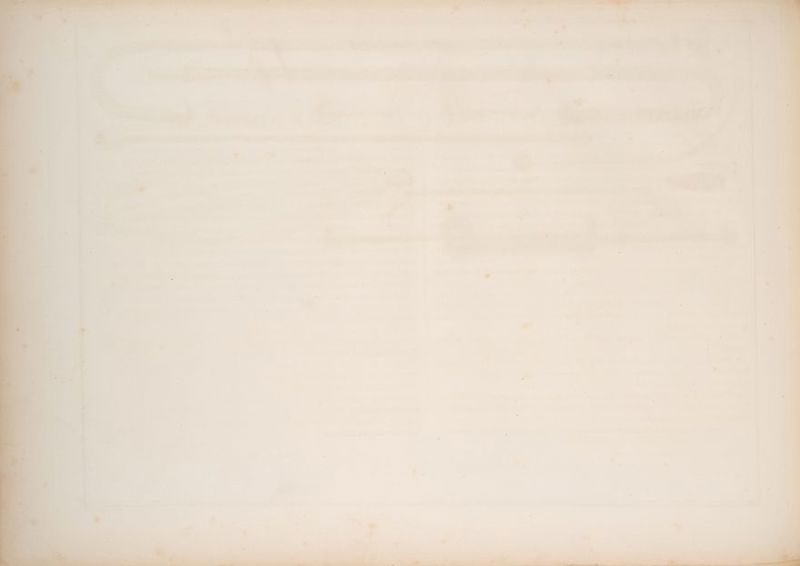 en Aha es i 4 “ . . - ‘ r . 4 > . ‘ ' s ‘ oe ‘haved