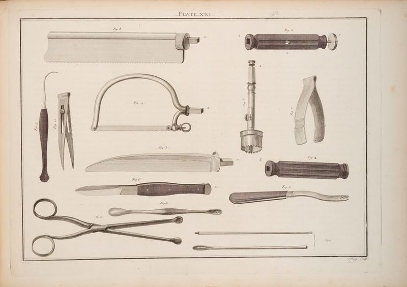 \ EE EEEEAEEEERAAEREAAGEALARAARAEAERAAAAAAAERGRAEREEEAREAEAEES