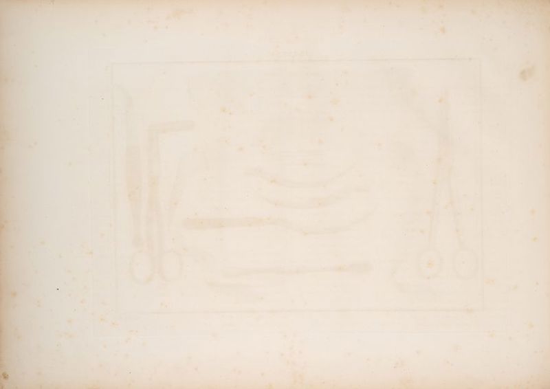 *. ~ « ¢ - ye ener oe ee 7 a eet ere