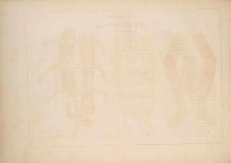 a : . es . “ ae pee wit ie ms v “J : et re : Px =, ? os ae &amp; a% ~ m4 m 42 7 ae ‘ r z Pe te ee fees ine ao det a ong a * dois peak. es ge tetas Dag tel 2. Tos + 7 4 ry + 7A : J a a8 SRE aoe ros Pisias ST) pera ¢ ali | “anne tet = Me ost a - mn 3 . ; : . S = ; AS A AED NDT REET. : Se hl: ‘ bs 7 _ . »- eal ‘ 3 vk : » hes: eae aha cemaetiaties Se ee ; ; ; ieee - ‘ et REG OA EP LOAVES NL ALLELE SE LED Er : : : ‘ ins