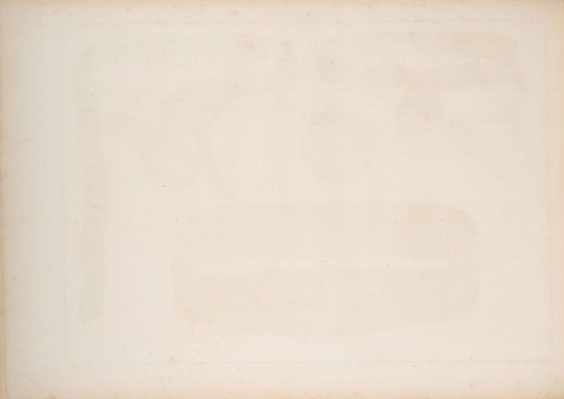 ve oie ae ier a ae ae a fi Set a hes ~ae a 7 7 ——  - 7 iF a4 — * » oe &amp; = “2 *