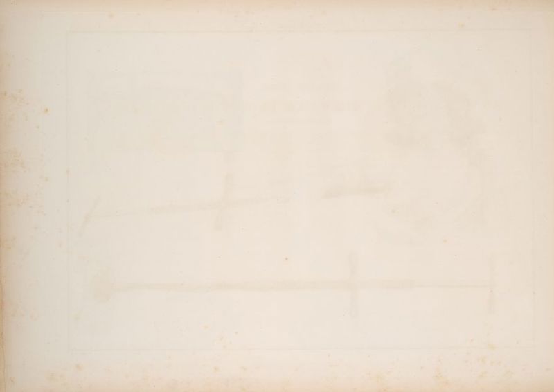 ro 7 Fy ‘ ~~ * ‘ \ vA ~