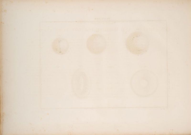 ’ SARA Rt AED Se : ‘ S - by ; ae te SPE % i 8 % : a * 2 it j - - ’ ‘Wy ‘ a i a “ es 4 - ‘ . = y - % - . a; ‘ Ei _  a # 4 7 4 ¢ : ¥ . * - ‘ 7 4 OF .  = 2 = ‘= - > a3 = 2 ‘ a 2 : : * : 3 ‘ ‘ = ee >. y . 7 a ~ a '= 7 > - . ‘ te ’ =] 7 ‘ Bg 2 Fi zy ‘ 2 . + 3 a ¢ ¢ F 3 4 i Sut 3 bd % : > 2 ” é > = : f Fi a J &amp; + oa 3 - : ‘ z ‘ = 4 < . pe rs 4 / 2 < ; ! * =v q ~~ 3 , s ee 3 “~ 2 - » - . = ; ki ' ae aor . * = a ¥ A - 3 - q rs : L: ’ “- / . 2 PY . - s * ‘ 6 - 7 mee ‘ vs i Se a. os a se - * = wo Prk est - i ‘ . . P*] 1 = - ra 7 Prey s ‘ t -