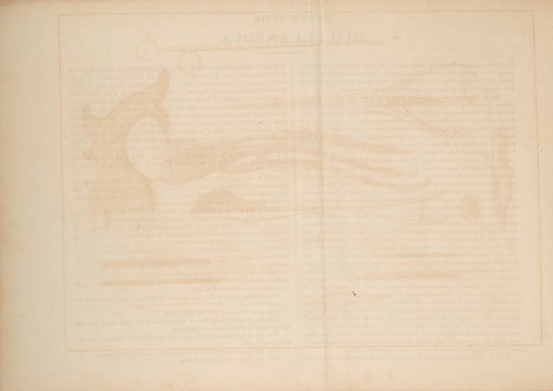 (MG iS OI NUE FERNS aetiacelence = see a al \eeweat &amp; ee Wiecers =¥ 7 oe a ms < sid eae x nf Ss) FY eich: ii af peers beegbiens svat. r wet wt: -osr Dowpecibe ‘oil ial: mast jain ~ ge Jas ae aes 7 ee a 5 ee a P32) Dt Ue is a SS 2 ae ad bates oti al : Sects fs oF at is Aaeentt ay Ps a. arab oy o> ane sarey aired eee ; < RRS es : Te “er &amp; eo teat ees - “4 — * 42 ah at alt  i} JE aa f a 3 Ferd re gee ; > | es a <a “ At ragnd mit op 4 aor tes r ad “ The ey ee ¢ pity ist sik teow ee es : ow ii ti itecdogel ce pai : pss sa i ms roti a. > er - * a a | at a ooo - Paice | . oo j : = x ? ; ‘g . he aa a? E: .) : < - <¢ = « = 45 ‘ c § J  eS é 7 4 } rh y =: = Fu Cee 2 ' ‘ wet? et FES « = e } 3 a * : - - vi — f : « oat > 5 Owe ra? 3 ay = 4 - i 7” a 2 . ‘ =. x 7 oe ~—* — st m Theos on H f - Fr) 1 , 2 > tien es hy ‘= Mmeiw) 6. » 5 £ - j e: Zo P a * > rie <i } . ry : = . 2 - f - ag . _ 4 7 PA dete etd Ae Oat et ~ tw re 7 ' : $ ; ; : = ae : : ‘ a = = ’ » + . A] é 4 m 7s ~ ¥ r - 4 : > us 4 r 4 > rp j * J 7 F : , 7 LS ~ 7 a Lee .A pee i GS) s i3 be - } a - . 3 Le ‘ ‘ : : . 7 , , 4 = . 2 ey « - ss ' : _* : f a ‘ = i : ps. tyes P - J. c wa ; ? x Ps : ese eee Tee Oe ag Be obs é tr? Die ae =. a= = * > - . en vind « - + r a e + ~ acs on - t we J 7 é + ery S ri. -_ : . > 3 ~ «gle pubs eae ae FCS  : 7. ’ * Pye is *> Se . J > . ~ - q | ‘ ; 3 A | » a > *€ 3 Be ¢ 5 . = ‘ _¢ ‘ , { E : l* .- = - - . t . +. - * Pa . ey - ; Pa . 2 f ez : . i 7 “ _ F _ f % . a : > , t i = mS ‘ a > s 5 - * * - - 2 U i a ; % ~~ '  ; i ¥ ¢ ‘ * y * . 2 ‘ , 2 e . t - , « - ‘ My 2 aij 6 “a t2es5 } eae ana : &amp;% ‘ r = “| ‘ a - - a 5 H  ‘ : ’ s a = ae 4 = s > a * ~ ~ t, 7 5. ete - “4 - . ; 2 as Go tee i ” ; ae Sit _ Z 3 ; 4 54-3 ; ae | . - Site . : a > + o Be - 4 =< ‘ - ry es - . % « ‘ osm, i 7, e  = - * ; = ’ ‘ . : 2 ¢ ® ~ 4 x . . ‘-~ a tee F 7 ¢ + « 2% “4 ; fe F > i a3 \ 24 tw 4 ; 7 - . . q +3 a > . f * . ‘ a t * <a - fe, - - “ - * * . 0, = es ‘ ‘ ; = . encae . “ae } =e » : aor. * et “ - Liat ~~ if é <7 basa Z : * + hs li : = is - - 12 « . - “3 r 4 - ; 4 ; ne . ? “ * 3 —— 4 ‘ a : { : ree 5 : - , ‘ 1 ; = : = + - ¢ > ~ . _ ° 7 < , r oe 5 {OTT Ses ah : ‘ > - 7 - ' - earn ¥ Pr 7 ee t ; x ‘ Se 3 ¢ b tee Bees = a - P Es : ) T * E ‘ x % : . 2 i S | wk, LANEY «ates oer Redan = , . ? ; ps oe and - . = ~ - fe 4 - é ‘ ; : ; . ; 2 . ’ ? rer a = Oe eR A ~ TD oS 2. r+ WEP rReoEY annie Bc 4 —_— —s Aino Z PAF Aad d ody &amp;> Cr “ =e ray pte Trae tilde a . F wee ? 7 ; - te ‘ 7 «a eta ep 8 Pee rr ee ee iy > ia ; : ' . . a ' : ; 7 i 2 ea oe . ’ : = > ? e 5et5i es . FIG, Of P iva = : om 4 : ; : : ya alg ; Ey gt? Geeeeey is). : : : rl ‘ ' : et = ad gail iS pestis oP aes K ¥s hey ; é ~ ae ; be . . ve : seers pre , - 7 . - tas : a9 : a ae ae: i : “ oro : . —. nt ais — ; by : fi. ‘ ~ ae : . = = p - , > j bs 7 - a 4 Fy 4 * ’ fs ‘ y Ps >= \ e. s i mares ae = > ea ~ ~ “ . , = Bk 4 + oe s 1 = ‘ , a ; ey 4 ie : ~ ‘ mS = ~ * Ps : 2 ‘ g — as: * ’