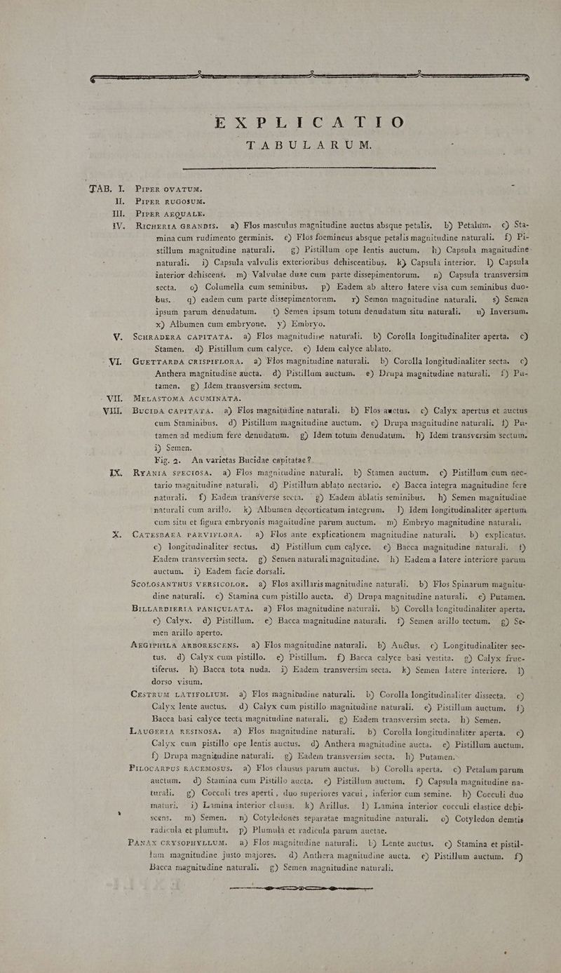 qAOR T 1. Il. IV. - VII. VI. IX. *€ XPLICA TIO TUA OB OU OLIAURDUOMS : PirER OVATUM. PibrER RUGOSUM. PrPER AEQUALE. ; RicHeRiA GRANDIS. a) Flos masculus magnitudine auctus absque petalis, b) Petalim. c) Sta- minacum rudimento germinis. €) Flos foemineus absque petalis magnitudine naturali. f) Pi- stillum magnitudine naturali. ^g) Pistilum ope lentis auctum. — h) Capsula magnitudine: naturali. i) Capsula valvulis exterioribus dehiscentibus. k) Capsula interior. D) Capsula interior dehiscens. m) Valvulae duae cum parte dissepimentorum. ^ n) Capsula transversim secta. o) Columella cum seminibus. ^p) Eadem ab altero latere visa cum seminibus duo- bus. q) eadem cum parte dissepimentorum. — r) Semen magnitudine naturali. — s) Semen ipsum parum denudatum. . t) Semen ipsum totum denudatum situ naturali. — w) Inversum. x) Albumen cum embryone. y) Embryo. SCHRADERA CAPITATA. 3) Flos magnitudine naturali. Lb) Corolla longitudinaliter aperta. c) Stamen. d) Pistillum cum calyce. €) Idem calyce ablato. GUETTARDA CRISPIFLORA. 3) Flos magnitudine naturali. b) Corolla longitudinaliter secta. — c) Anthera magnitudine aucta... d) Pistillum auctum. | €) Drupa magnitudine naturali. 1) Pu- tamen. g) Idem transversim sectum. MELASTOMA ACUMINATA. BvcipA CAPITATA. a) Flos magnitüdine naturali. b) Flos awctus. c) Calyx apertus et auctus cum Staminibus. d) Pistillum magnitudine auctum. | €) Drupa magnitudine naturali. f) Pu- tamen ad medium fere denudatum. g) Idem totum denudatum. h) Idem transversim sectum, 1) Semen. Fig.2. An varietas Bucidae capitatae? RxAN1A sPECiOSA. a) Flos magnitudine naturali. b) Stamen auctum. c) Pistillum cum nec- tario magnitudine naturali. d) Pistillum ablato nectario. e) Bacca integra magnitudine fere naturali. f) Eadem transverse secta. —g) Eadem ablatis seminibus, — h) Semen magnitudine naturali cum arillo. kj Albumen decorticatum integrum. — I) Idem longitudinaliter apertum cum situ et figura embryonis maguitudine parum auctum, m) Embryo magnitudine naturali, CATESBAEA PARVIFLORA. a) Flos ante explicationem magnitudine naturali. — b) explicatus. c) longitudinaliter sectus. —d) Pistillum cum calyce. €) Bacca magnitudine naturali. t) Eadem transversim secta. g) Semen naturalimagnitudine. h) Eadem a latere interiore parum auctum. 1) Eadem facie dorsali. SCOLOSANTHUS VERSICOLOR. 8) Flos axillaris magnitudine naturali. b) Flos Spinarum magnitu- dine naturali. c) Stamina cum pistillo aucta. d) Drupa magnitudine naturali. €) Putamen. BiLLARPIERIA PANIQULATA. 2) Flos magnitudine naturali, b) Corolla longitudinaliter aperta. c) Calyx. d) Pistillum. - e) Bacca magnitudine naturali. 1) Semen arillo tectum. — g) Se- men arillo aperto. ArGriPHILA ARBORESCENS. a) Flos magnitudine naturali. b) Au&us. c) Longitudinaliter sec- tus. d) Calyx cum pistillo. e) Pistillum. f) Bacca calyce basi yestita. 9) Calyx fruc- tiferus. Lh) Bacca tota nuda. i) Eadem transversim secta. kk) Semen latere interiore. 1) dorso visum. CrzsrRUM LATIFOLIUM. 23) Flos magnitudine naturali. b) Corolla longitudinaliter dissecta., c) Calyx lente auctus. d) Calyx cum pistillo magnitudine naturali. €) Pistillum auctum. f) Bacca basi calyce tecta magnitudine naturali. | g) Eadem transversim secta. h) Semen. LauGrnriA nEsINOSA. a) Flos magnitudine naturali. b) Corolla longitudinaliter aperta. c) Calyx cum pistillo ope lentis auctus. d) Anthera magnitudine aucta. e) Pistillum auctum. f) Drupa magnitudine naturali. g) Eadem transversim secta. Lh) Putamen. PiLocAnPus RACEMOSUS. a) Flos clausus parum auctus. b) Corolla aperta. c) Petalum parum auctum, — d) Stamina cum Pistillo aucta. — e) Pistillum auctum, — f) Capsula magnitudine na- turali. — g) Cocculi tres aperti, duo superiores vacui, inferior cum semine. b) Cocculi duo maturi, — 1) Lamina interior clausa. —k) Arillus. 1) Lamina interior cocculi elastice dehi- scens, m) Semen. n) Cotyledones separatae magnitudine naturali. 0) Cotyledon demtis radicula et plumula. p) Plumula et radicula parum auctae. Paxax CRYsOPHYLLUM. a) Flos magnitudine naturali. L) Lente auctus. c) Stamina et pistil- lam magnitudine justo majores. d) Anthera magnitudine aucta, €) Pistillum auctum. f) Bacca magnitudine naturali. g) Semen magnitudine naturali. — M iR me e