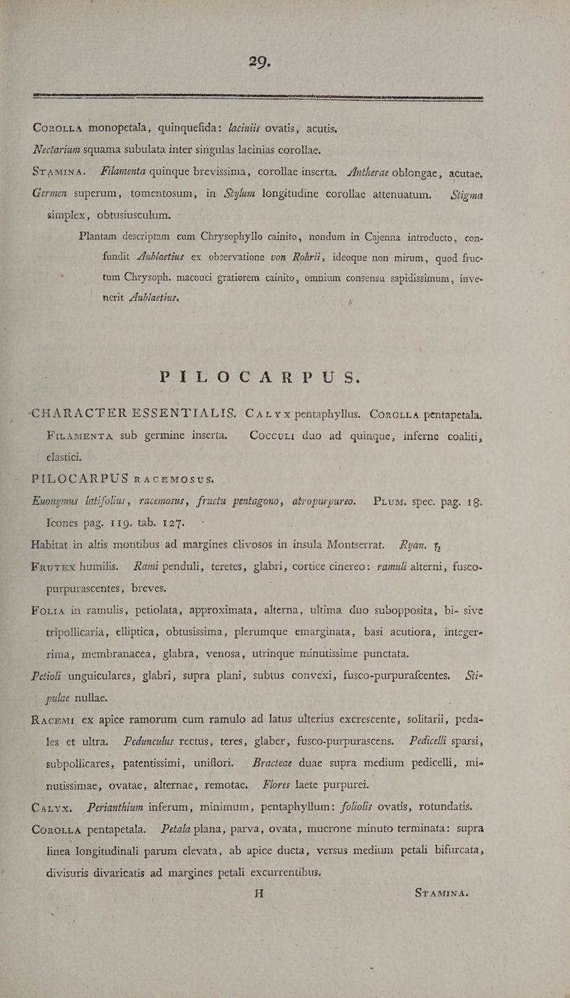 20. ConoLLA monopetala, quinquefida: [acinis ovatis, acutis, Nectarium squama subulata inter singulas lacinias corollae. SraMINA. Filamenta quinque brevissima, corollae inserta. 7fuiferae oblongae, acutae. Germen superum, tomentosum, in ,S^y/um longitudine corollae attenuatum. Stigma simplex, obtusiusculum. Plantam descriptam cum Chrysophyllo cainito, nondum in Cajenna introducto, con- fundit Jfublaetius ex observatione vom Rokrii, ideoque non mirum, quod fruc- tum Chrysoph. macouci gratiorem cainito, omnium consensu sapidissimum, inve- nerit Zublaetius. POPE CAT.PU'S. 'CHARACTER ESSENTIALIS. Carvx pentaphyllus. ConorrA pentapetala, FiLAMENTA sub germine insería | Coccur: duo ad quinque, inferne coaliti, clastici. PILOCARPUS nAcEMOSUS. Euonymus latifolius, rGcemosus, fructu pentagono, atropurpureo. | PruM. spec. pag. 18. Icones pag. 119. tab. 127. Habitat in altis montibus ad margines clivosos in insula Montserrat. — Ryan. f, FnauTEx humilis. Aamipenduli, teretes, glabri, cortice cinereo: ramuli alterni, fusco- purpurascentes, breves. Forra in ramulis, petiolata, approximata, alterna, ultima duo subopposita , bi- sive tripollicaria, elliptica, obtusissima, plerumque emarginata, basi acutiora, integer rima, membranacea, glabra, venosa, utrinque minutissime punctata. Peioli unguiculares, glabri, supra plani, subtus convexi, fusco-purpurafcentes .Sii- qulae nullae. RacEMr ex apice ramorum cum ramulo ad latus ulterius excrescente, solitarii, peda- les et ultra. —.Pedunculus vectus, teres, glaber, fusco-purpurascens. Pedicelli sparsi, subpollicares, patentisimi, uniflori. —.Bractege duae supra medium pedicelli, mi nutissimae, ovatae, alternae, remotae. JPlorer laete purpurei, Carvx. Perianthium inferum, minimum, pentaphyllum: foliolis ovatis, xotundatis. ConorLA pentapetala. —Petaíg plana, parva, ovata, mucrone minuto terminata: supra linea. longitudinali parum clevata, ab apice ducta, versus medium petali bifurcata, divisuris divaricatis ad margines petali excurrentibus, H | STAMINA,