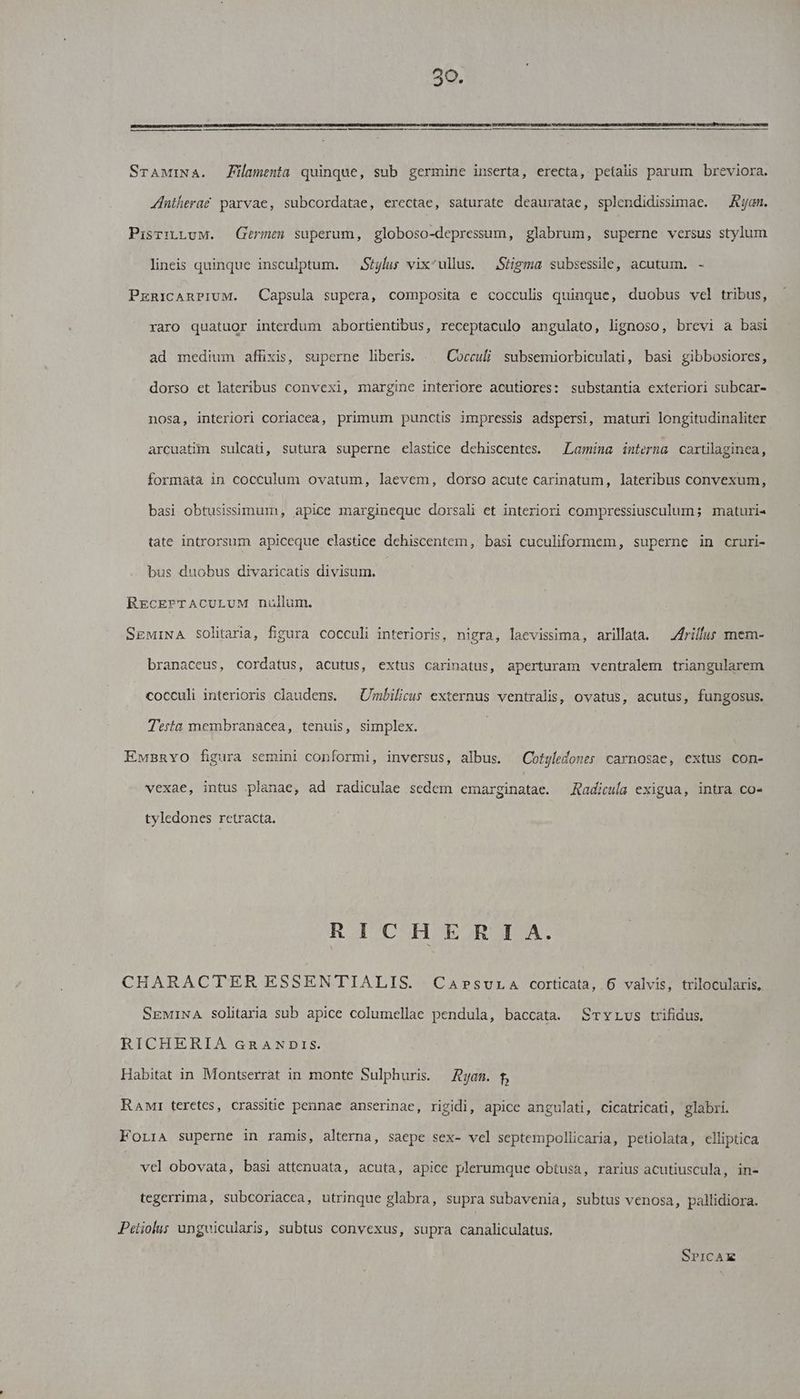 230. SrAMiNA. Filamenta quinque, sub germine inserta, erecta, petalis parum breviora. Jnthera£ parvae, subcordatae, erectae, saturate deauratae, splendidissimae. — KAyam. PisrrtLuM. — Germen superum, globoso-depressum, glabrum, superne versus stylum lineis quinque insculptum. — Stylus vix^ullus. Stigma subsessile, acutum. - PrnicARPIUM. Capsula supera, composita e cocculis quinque, duobus vel tribus, raro quatuor interdum abortientibus, receptaculo angulato, lignoso, brevi a basi ad medium affixis, superne liberis. Cocculi subsemiorbiculati, basi gibbosiores, dorso et lateribus convexi, margine interiore acutiores: substantia exteriori subcar- nosa, interiori coriacea, primum punctis impressis adspersi, maturi longitudinaliter arcuatim sulcati, sutura superne elastice dehiscentes. | Lamina interna cartilaginea, formata in cocculum ovatum, laevem, dorso acute carinatum, lateribus convexum, basi obtusissimum, apice margineque dorsali et interiori compressiusculum; maturi- tate introrsum apiceque clastice dehiscentem, basi cuculiformem, superne in cruri- bus duobus divaricatis divisum. REcEPTACULUM nullum. SEMINA Solitaria, figura cocculi interioris, nigra, laevissima, arillata. — Zfrillus mem- branaceus, cordatus, acutus, extus carinatus, aperturam ventralem triangularem cocculi interioris claudens. — Umbilicus externus ventralis, ovatus, acutus, fungosus. | Testa membranacea, tenuis, simplex. EwBRavo figura semini conformi, inversus, albus. Cofyledones carnosae, extus con- vexae, intus planae, ad radiculae sedem emarginatae. — Radicuía exigua, intra co- tyledones retracta. RICHE R I A. CHARACTER ESSENTIALIS. Ca»rsura corticata, 6 valvis, trilocularis, SEMiNA solitaria sub apice columellae pendula, baccata. SrYrus trifidus, RICHERIA GRANDIS. Habitat in Montserrat in monte Sulphuris. — Zyam. f, Rawr teretes, crassitie pennae anserinae, rigidi, apice angulati, cicatricati, glabri. FoLrA superne in ramis, alterna, saepe sex- vel septempollicaria, petiolata, elliptica vel obovata, basi attenuata, acuta, apice plerumque obtusa, rarius acutiuscula, in- tegerrima, subcoriacca, utrinque glabra, supra subavenia, subtus venosa, pallidiora. Petiolus unguicularis, subtus convexus, supra canaliculatus. SPICAE