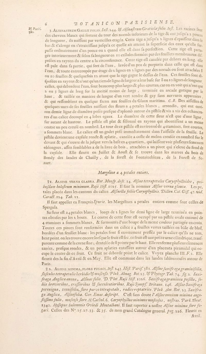 380. f BOTANICON PARISIENSE. 3. ALernasrrum GaLuui rorio. Jul. 244. € Alfinafirum Gratiole folio. Inff. Les racines font des cheveux blancs qui fortent du tour des noeuds inférieurs se a tige &amp;c ont juiqu'a 2 Pouces de lonoueur, ils naiflent par verticilles eragéz. Cette tige a juiqu'a 2 lignes d’epaiffeur dans le bas &amp; s’alonge en s’etraiciffant jufqu’a ce quelle ait atteint la fuperficie des caux qu’elle fur. 6 ds : z an 4 f ‘Te 4 : . 7: 2 pafle ordinairement d’un pouce ou 2 quand elle eft dans fa perfection. | Cette tige eft parta. oée interieurement &amp; felon falongueuren ro cellules formées par des feuillets membraneux dif pofées en rayons du centre a la circonference. Cette tige eft canelée par dehors en long. elle cft pale dans fa partie, qui fort de l’eau, lavée d’un peu de purpurin dans celle qui eft dans l’eau, &amp; toute entrecoupée par étage de 2 lignes en 2 lignes par des nocuds ou font attachées 8 ou 10 feuilles &amp; quelquefois 12 avant que la tige gagne le deflus de l’eau. Ces feuilles font di. fpofées en rayons &amp; n’ont qu'un tiers de ligne de largeur a leur bafe fur 8 ou rolignes de longueur celles, qui debordent l’eau, font beaucoup pluslarges &amp;c plus courtes; car on en voit qui n’ont que 2 ou 3 lignes de long fur la moitié moins de large, terminée en arcade gotique pat le haut, &amp; taillée en maniere de langue d’un vert tendre &amp;c gay fans nervures apparentes | &amp; qui reffemblent en quelque facon aux feuilles du Glaux maritima. C.8. Des aiffelles de quelques unes de fes feuilles naiffent des fleurs a 4 petales blancs , arrondis, qui ont envi. ron demie ligne de diamètre polée prefque d’aplomb autour du piftile &amp; vis a vis des echancry. res d'un calice decoupé en 4 lobes egaux. Le diamêtre de cette fleur n’eft que d'une ligne, fur autant de hauteur. Le piftile eft plat &amp; fillonné en rayons qui aboutiflent a un meme centre un peu creufé en nombril. Le tour dece piftile efteuvironné de 4 etamines, fort Courtes, a fommets blanc. Le calice eft un godet pofé immediatement dans l’aiffelle de la feuille. Le piftile devientune capfule ronde &amp;c aplatie, canelée a cofte de melon creufée en nombril fur Je devant &amp; qui s'ouvre de la jufque vers la bafe en 4 quartiers, quilaiffent voir plufieursfemences oblongues , affez femblables a de la livre de bois, attachées a un pivot qui s'eleve du fond de la capfule. Elle fleufit en Juillet &amp; Aouft &amp; fe trouve dans les marres du bois de Bondy des landes de Chailly , de la foreft de Fontainebleau, de la Foreft de Se. 6 HAïrC. Margeline à 4 petales entiers. Sr. ALSINE VERNA GLABRA. Bof. Monfp.defc. 14. Alfine tetrapetalos Caryophylloides , qui. bufdam bolofleum minimum. Rajt Hifi. 1025. Il faut la nommer fine verna glauca. Les pe. tales placéz dans les cantons du calice. Æ/fnella foliis Caryophylleis. Dillen. Cat. Gif: 47. vid. Caraët.114. Tab. vr. | | Il faut appeller en François $purie. les Margelines à petales entiers comme font celles de Spergula. tes obtufes par les » bouts. Le centre de cette fleur eft occupé par un piftile ovale entouré de 4 etamines a fommets blancs, &amp; furmontés d’une houpe de lameme couleur partagée en croix. Toutes ces pieces font renfermées dans un calice a 4 feuilles vertes taillées en bâle de bled, bent point.on les trouve encore lorfque le fruiteftfec. ce fruit eftune petiteurne cilindrique, tranf parente comme de la corne fine ; dentelée de 8 pointe par le haut. Elle renferme plufieurs femences tanées, prefque rondes, &amp; un peu aplaties entaffées autour d’un placenta piramidal qui oc- cupe le centre de ce fruit. Ce fruit ne deborde point le calice. Voyez planche HE F2. Elle fleurit des la fin d'Avril &amp; en May. Elle eft commune dans les landes fablonneufés autour de Flofculis tetrapetalis berbidis muftofs.Pluk. Almag. Bot23.% Phytogr.Tab.74. fig.2. Saxi- fraga Anglicaannua, dlfinae folio. D. Plot. Raji Hifi. 1026. Saxifragagraminea pufilla, fo- ga Anglica, Alfinefolia. Ger. Ermac.deftript. C’eft fans doute ?’4/ffneomnium minima angu- Jhiffemo folio, wufcofo flore. H.Catbol.6. Caryopbyllus minimus mufcofus, noffras. Park. Theat. 1340. Hyffopus Salomonis Oviedi Montalbant. X] faut raporter a noftre Alfine minima flore fu gaci. Celles des N°.25.27.33. &amp; 35. de mon grand Catalogue general, pag.226, Fleurit en | | | | Avril,