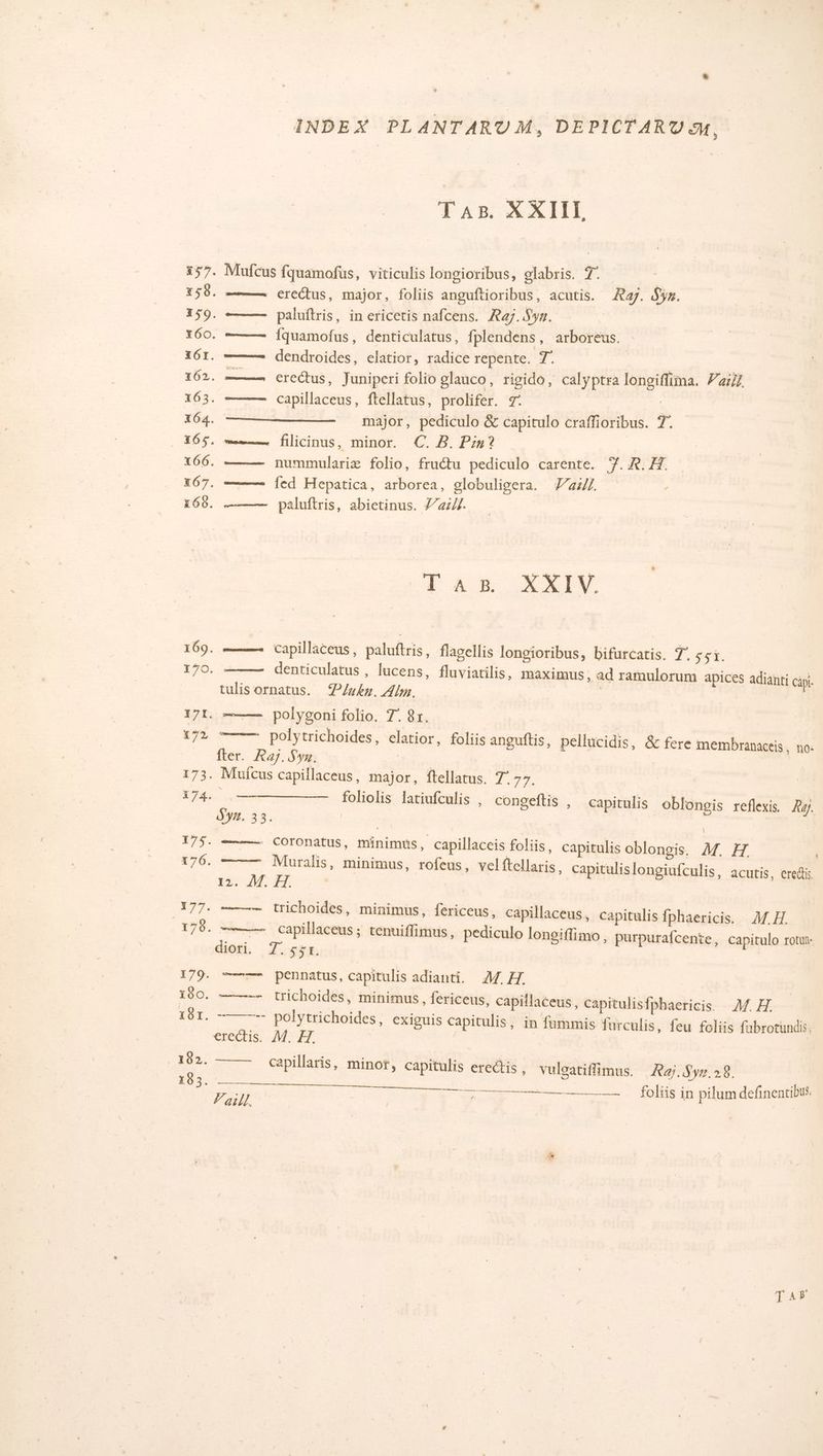 Tam NET #57. Mufcus fquamofus, viticulis longioribus, glabris. 7° 258. —… eretus, major, foliis anguftioribus, acutis. Ray. Sÿr. T50. =—— paluftris, in ericetis nafcens. Ray. Syr. T60. = fquamoius, denticulatus, fplendens, arboreus. 161. —— dendroides, elatior, radice repente. 7. | : 162. mm ETECTUS, Juniperi folio glauco, rigido, calyptra lonciffima. Vaiÿf 163. ———— capillaceus, ftellatus, prolifer. 7. : 164. | major, pediculo & capitulo craffioribus. 7. 105. mm filicinus, minor. €. B. Pin? 166. nummulariæ folio, fruétu pediculo carente. 7.R.H 167. = {ed Hepatica, arborea, globuligera. 44/1. 166. .—— paluftris, abietinus. 7/x4/1. + Am NI 169. mm Capilliceus, paluftris, flagellis longioribus, bifurcatis. 7° st: 170. denticulatus , lucens, fluviatilis, maximus, ad ramulorum apices adianti Cap. | tulis ornatus. P/ukn. Alm. | 171. =—— polysoni folio. 7. 8r. | {72 =—— polytrichoides, elatior, foliis anguftis, pellucidis, & fere membranaceis, no: fter. Ray. Syr. ANT 173. Muicus capillaceus, major, ftellatus. Fo | 174 —— foliolis latiufculis . congeftis , capitulis oblongis reflexis. Æy SYy4. 33. | | 175. = COTONATUS, Minimus, capillaceis foliis, capitulis oblongis. M. 176. Muralis, minimus, rofeus, velftellaris. Capitulislongiufculis, acutis, credtis 12. M. H 177. = trichoides, minimus, fericeus, capillaceus, Capitulis fphaericis. AH. 178. ——— capillaceus; tenuiflimus, pediculo lonsiflimo, purpurafcente, capitulo rotun dioti, T5ge, | 179. = pennatus, capitulis adianti. À{ A. 180. - trichoides, minimus, fericeus, capillaceus, Capitulis{phaericis. A Æ 181. ———- polytrichoides, ExIguis Capitulis, in fummis furculis, feu foliis fubrotundis, erectis. M. H | : 183. Capillaris, minot, capitulis erectis . vulgatiflimus. Rai. Syr.28. | 103. ee © foliis fr pilum definentibus. Pazll. | %