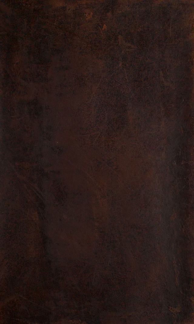 digitised image 1